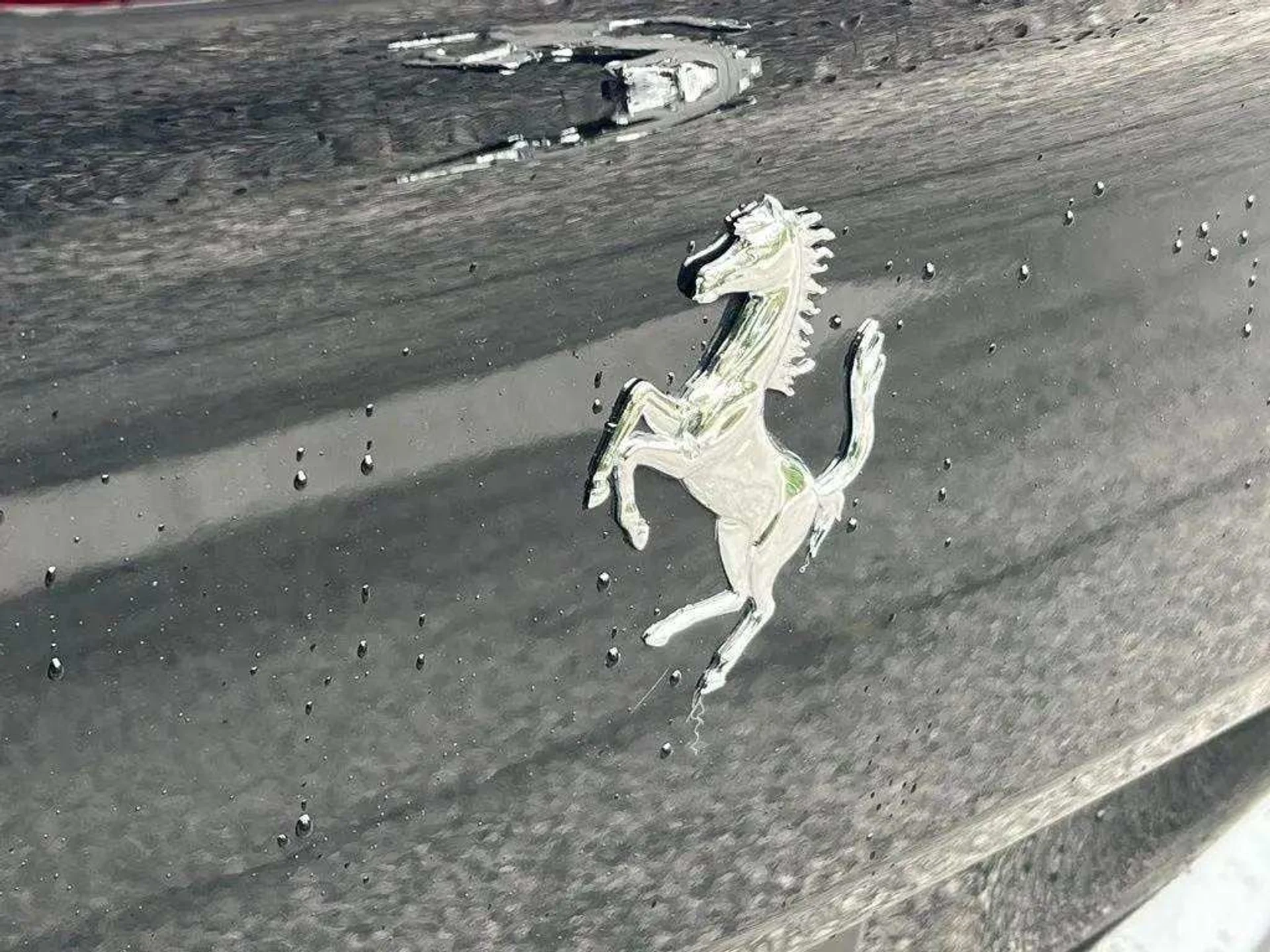 mph043_1476160788_faaec6881176b142a210d104388a6859x_9b5228ce3c