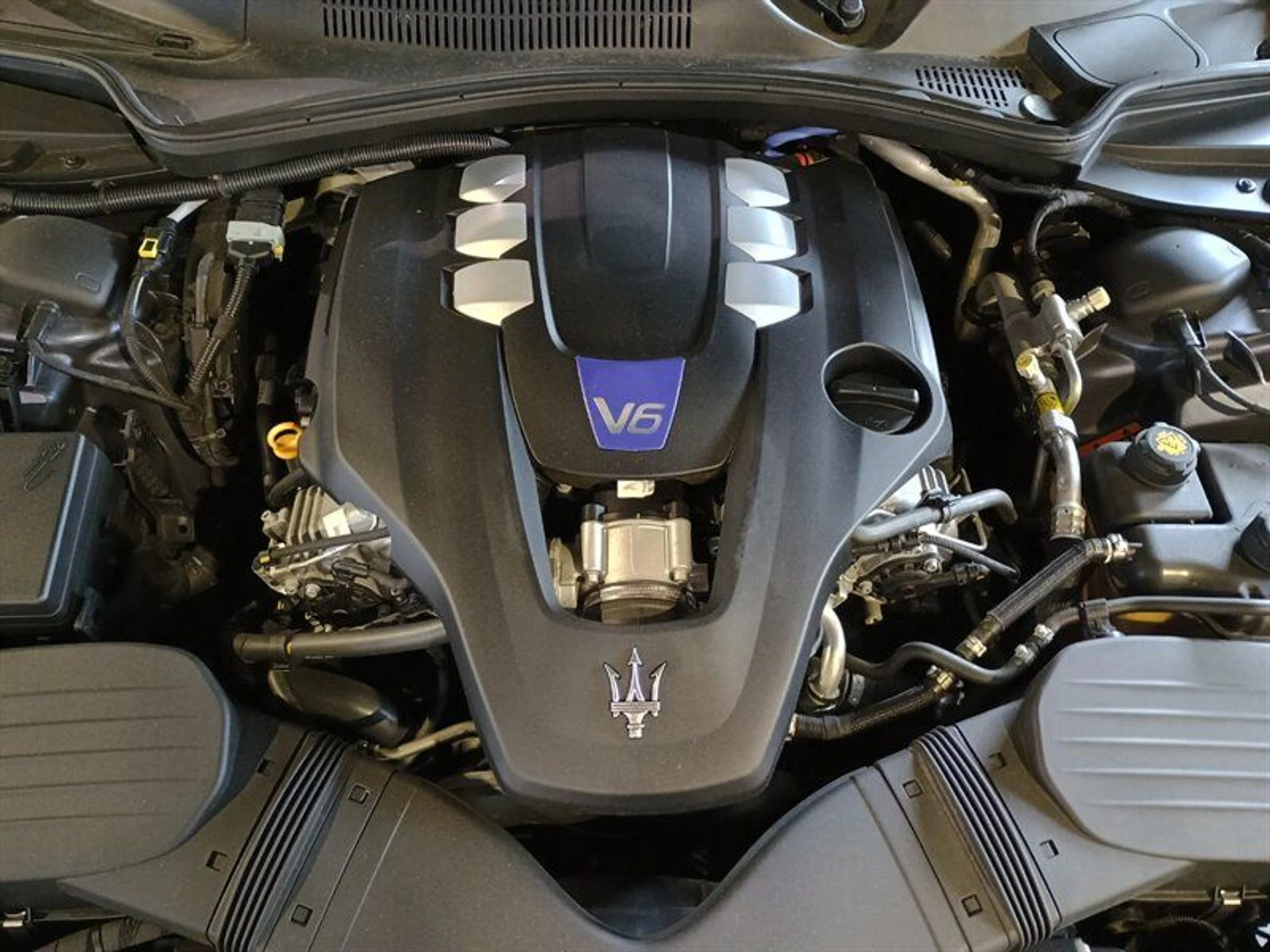 mph043_1502844483_9546beaea5_800_7351f55038