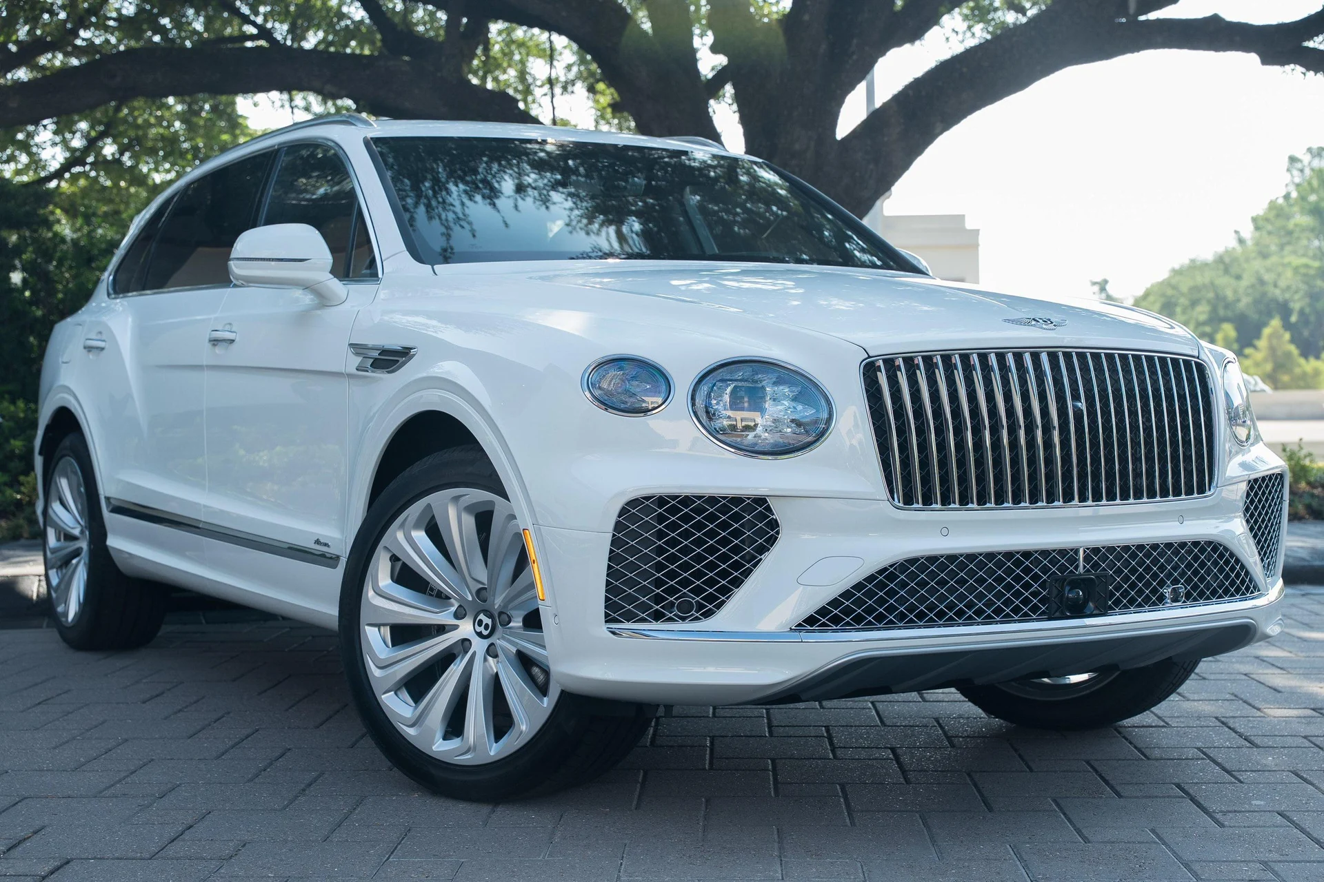 mph043_2096458830_439893873_68933534d11a93082f4d7ffa_58fb0f333b