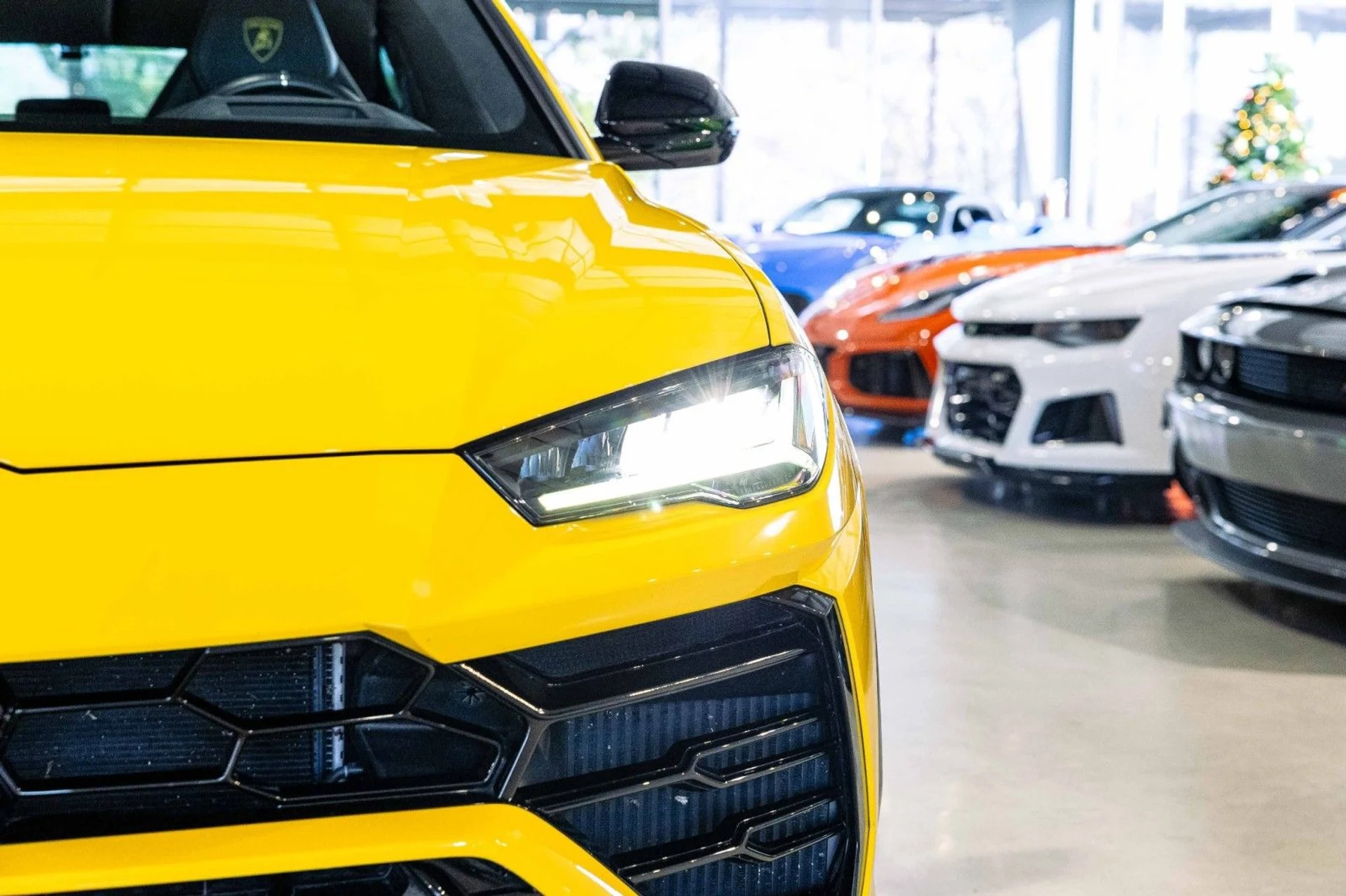 mph043_2166005809_Kg_d72a005308