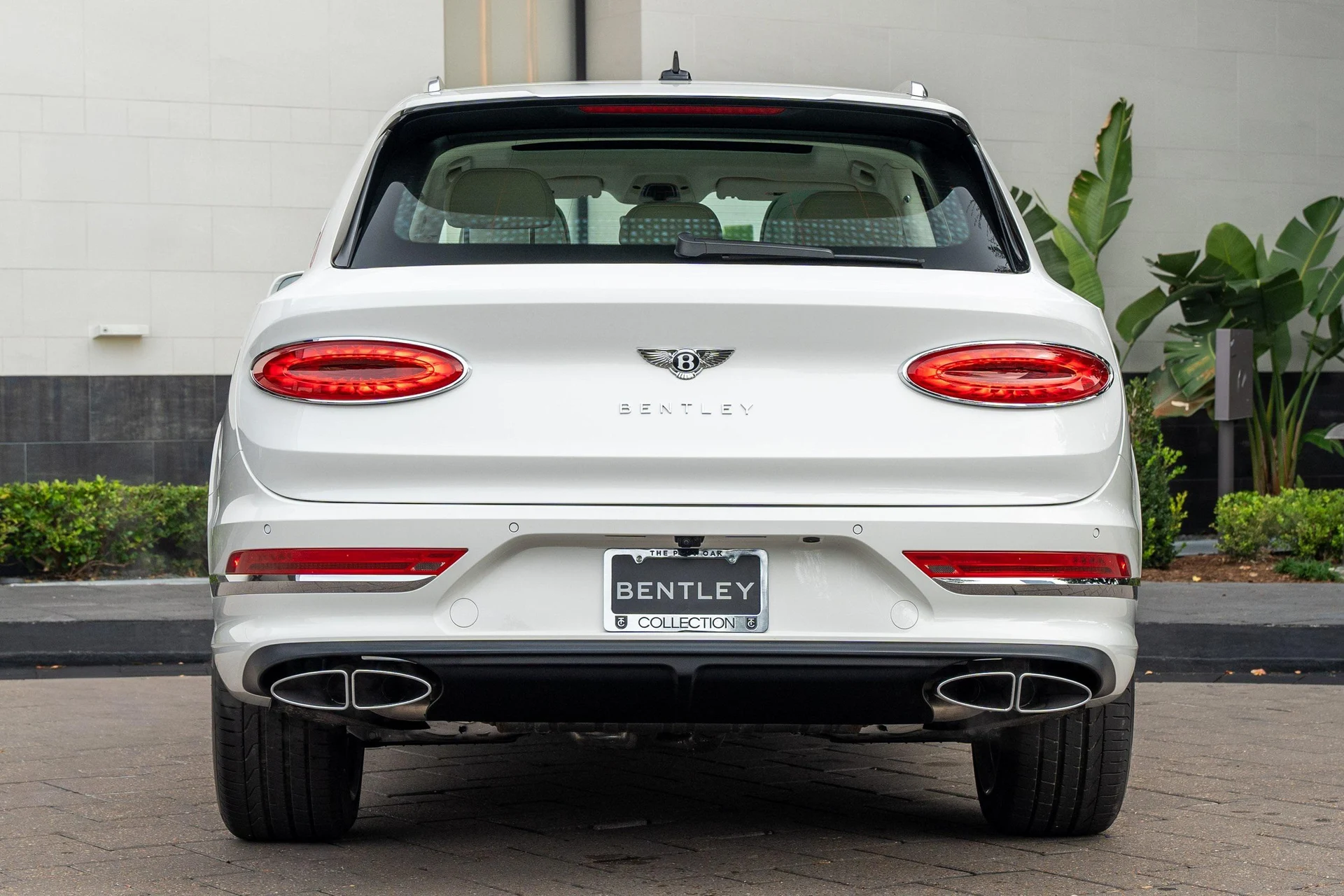 mph043_2248110053_389622358_677365592b7a94b33fd41a6e_f64cdee647