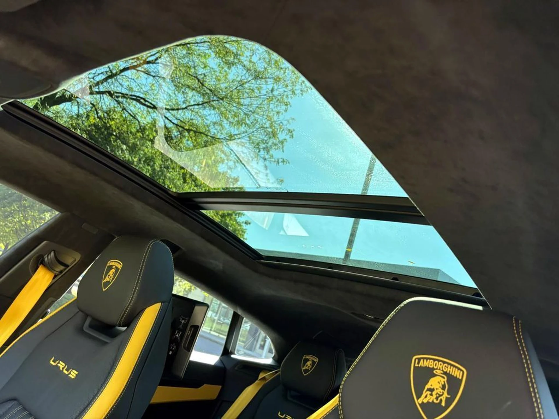 mph043_2366690994_480c2f29334bc2601a514ae2ab080520x_3916a55fec