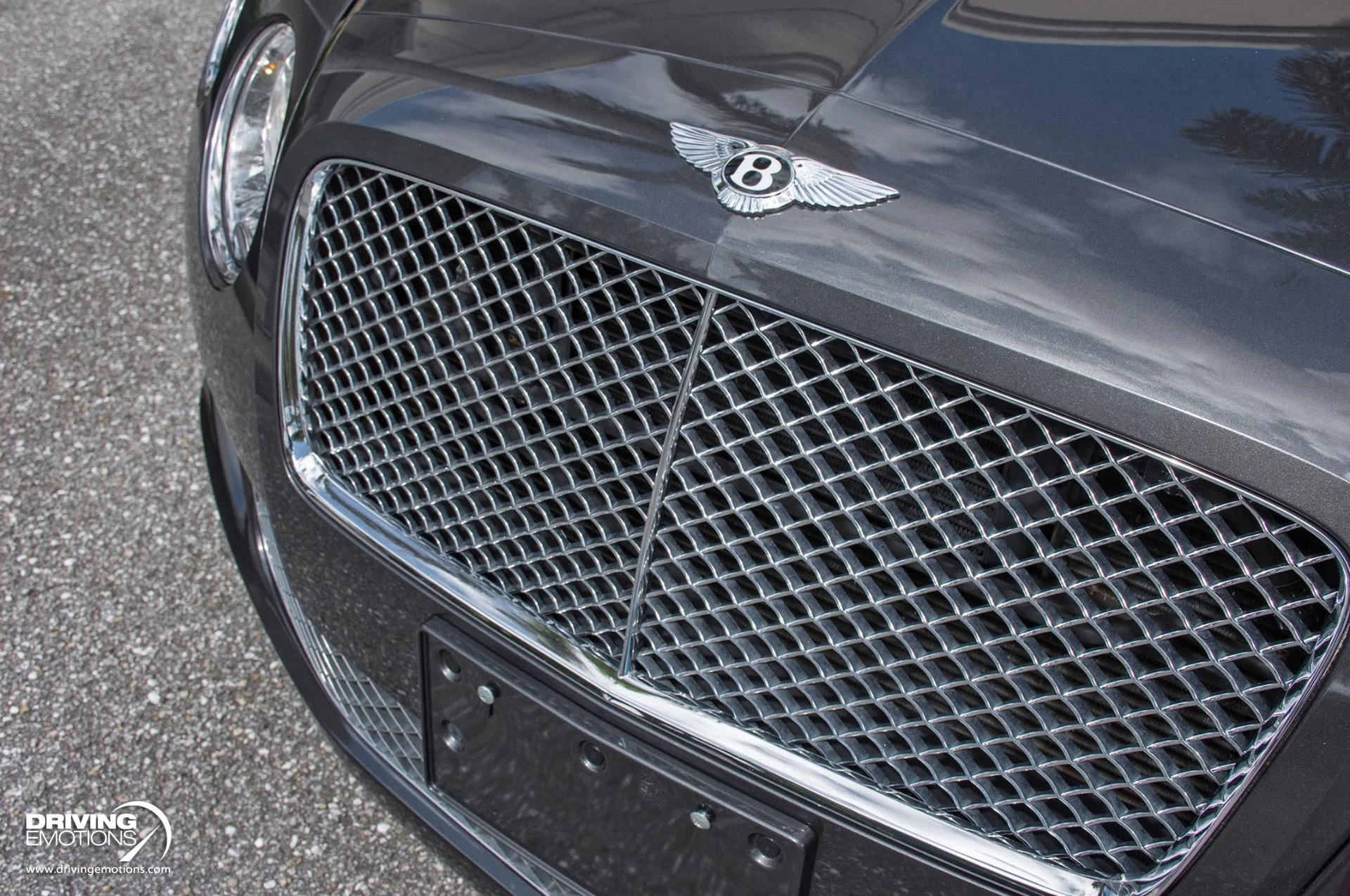 mph043_274489522_871_p44_l_98ddf1d44c