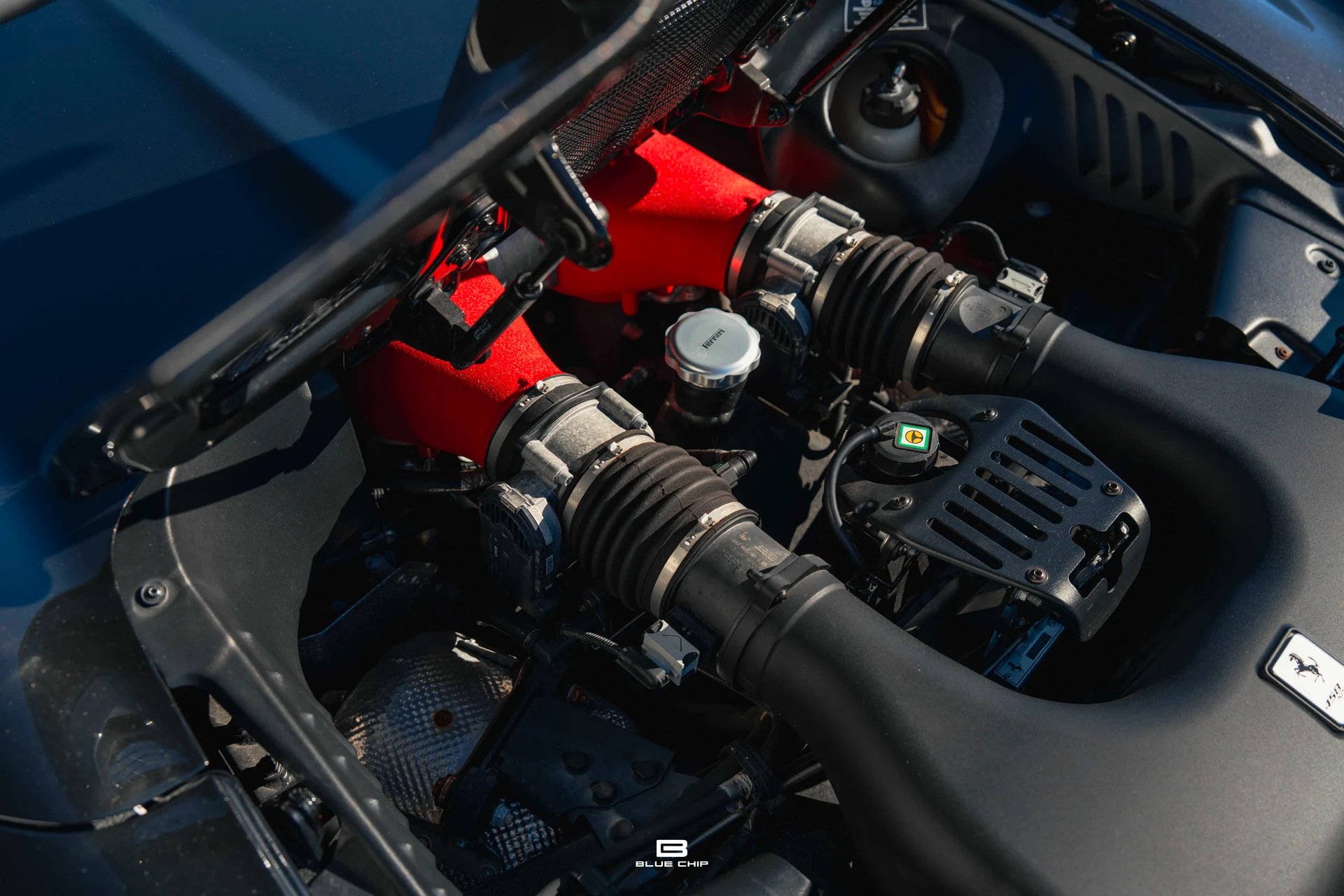 mph043_2771015166_6954367310a42715c6c5baef_A7409353_49e5c67a4e