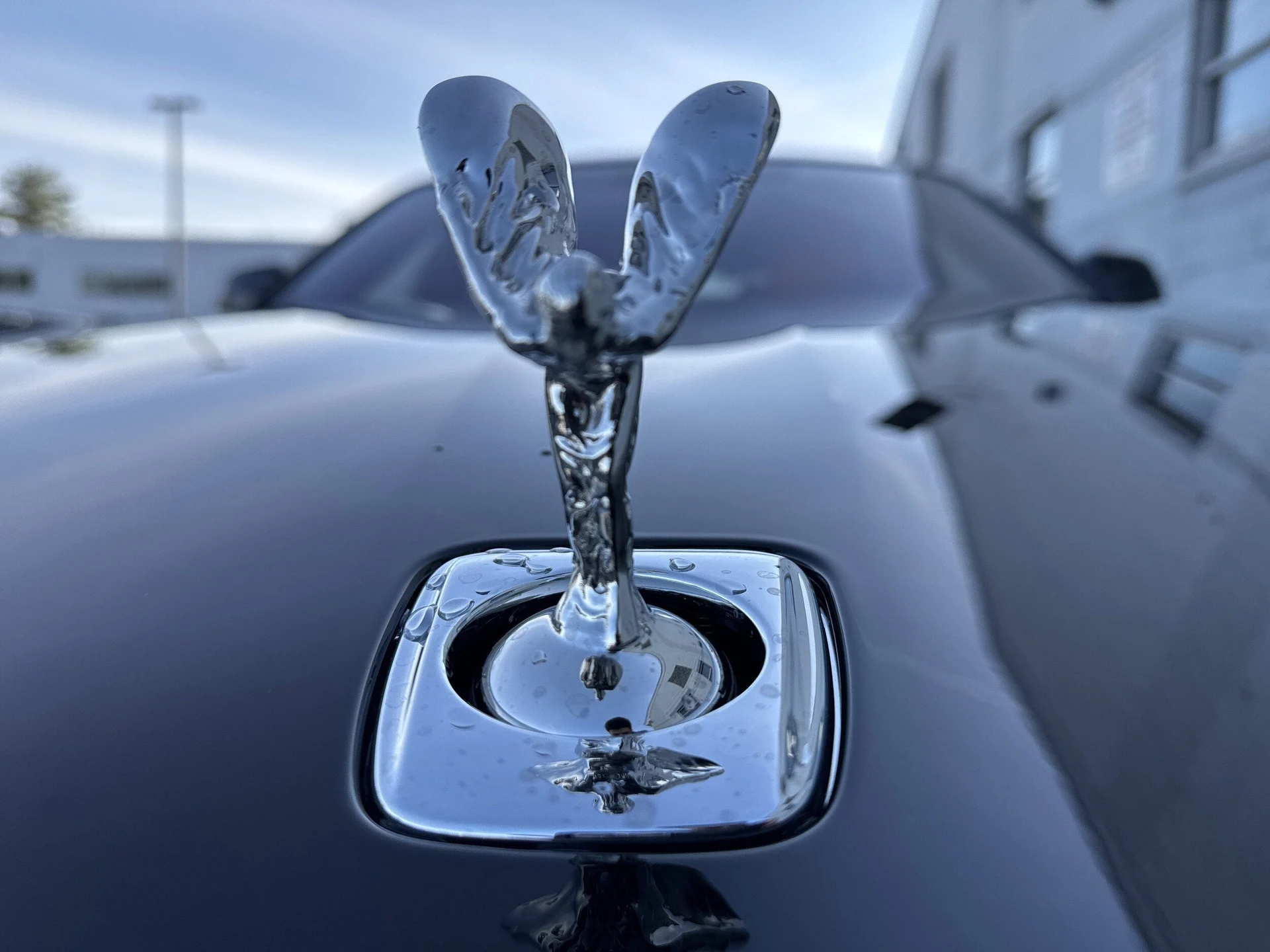 mph043_3119565527_80144d18dc2b956f54dd94b711c02ce3x_382461bdae