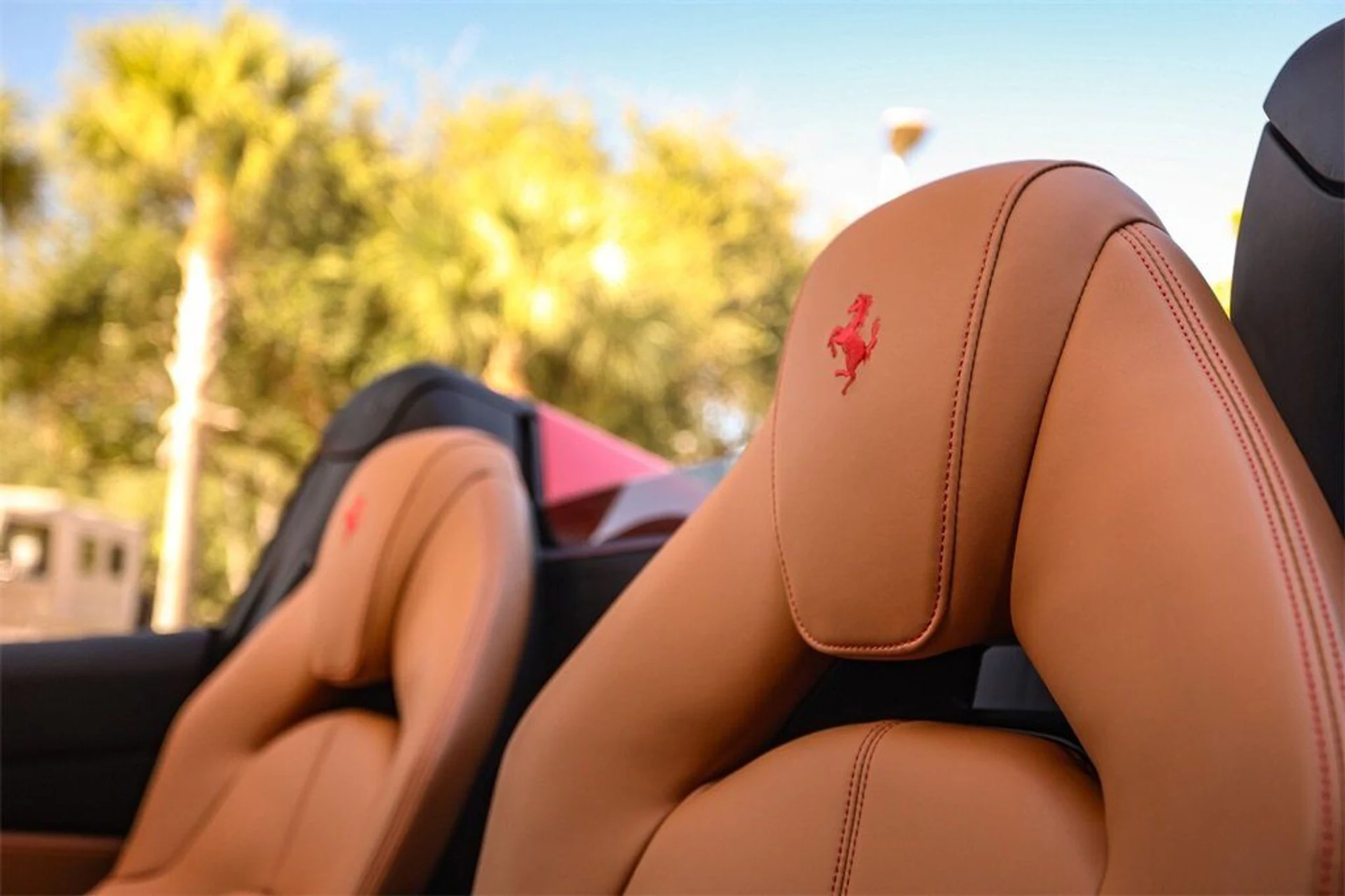 mph043_3193117332_ee1b899daa52ffb1e3d6c83a5459f4c9_ff3500a7f8