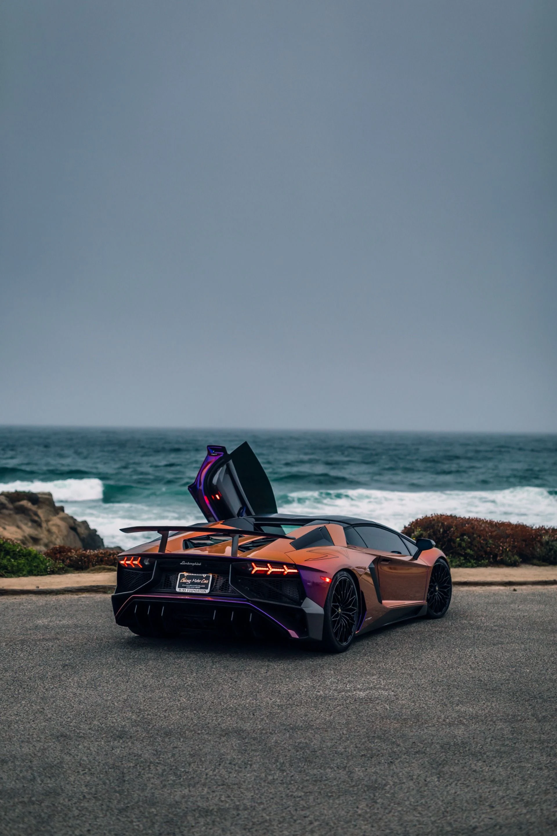 mph043_3540983251_8742_p44_l_cfd9c6056c