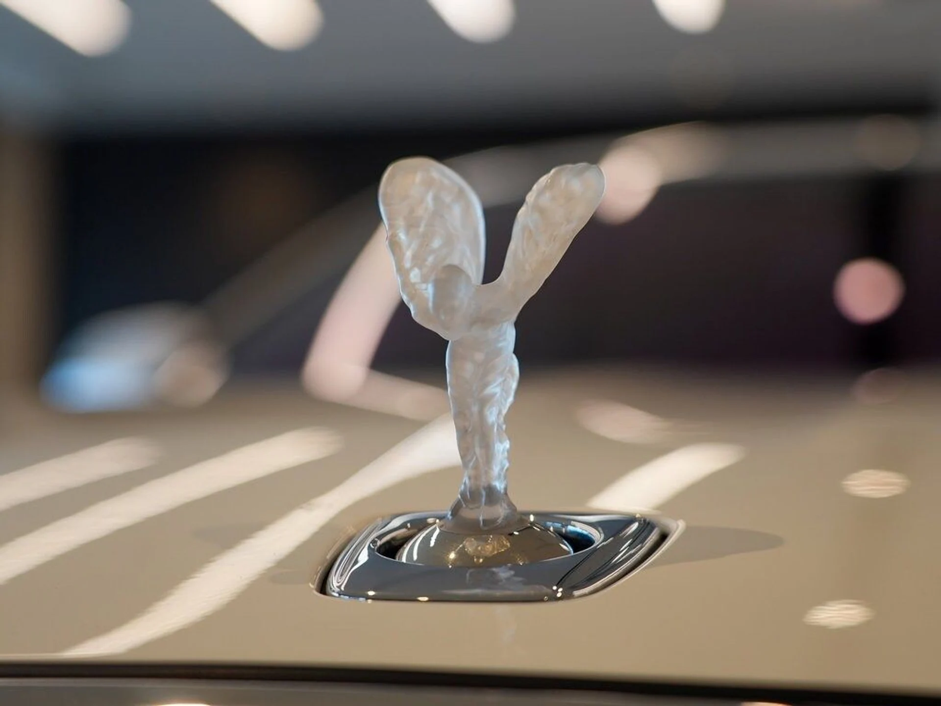 mph043_3609293957_95ac03d9e84860f65f0addbba1215755x_73aba116ef