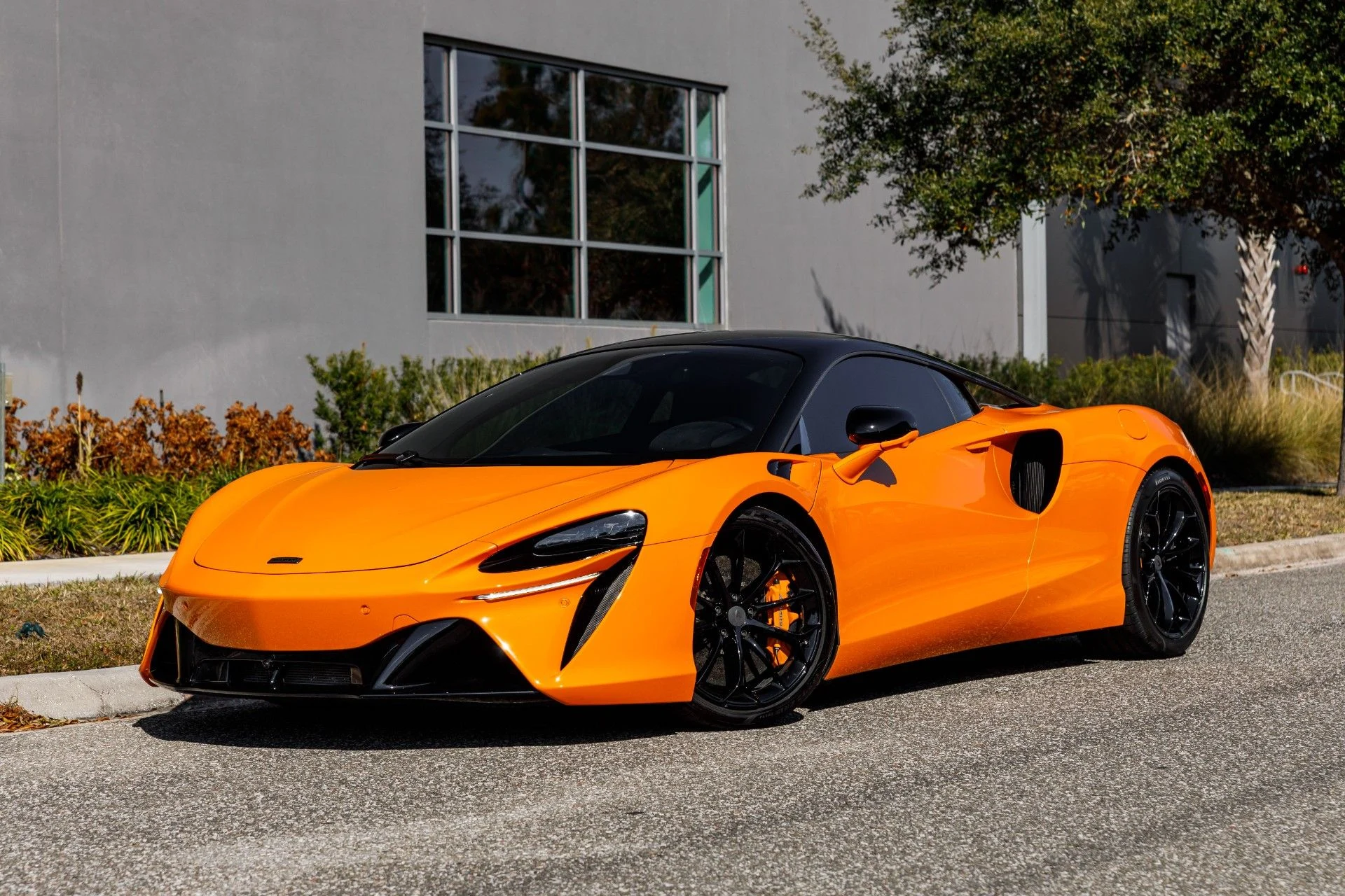 mph043_3677951631_653_p44_l_fa337b9560