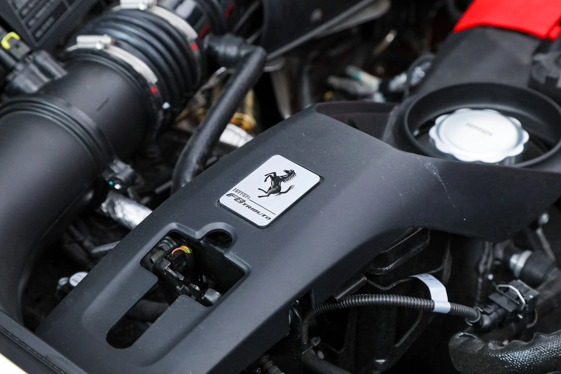 mph043_4263397719_9188afeeaa2812168045d441d0ba807d_addd1e96d2