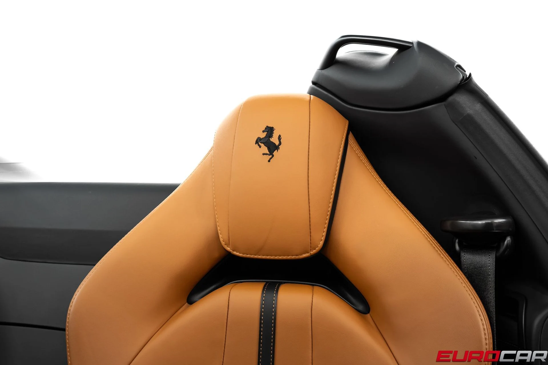 mph043_428403477_f51f9aac_9ee3_4390_a66d_de53fb094473_cbcf3678b6