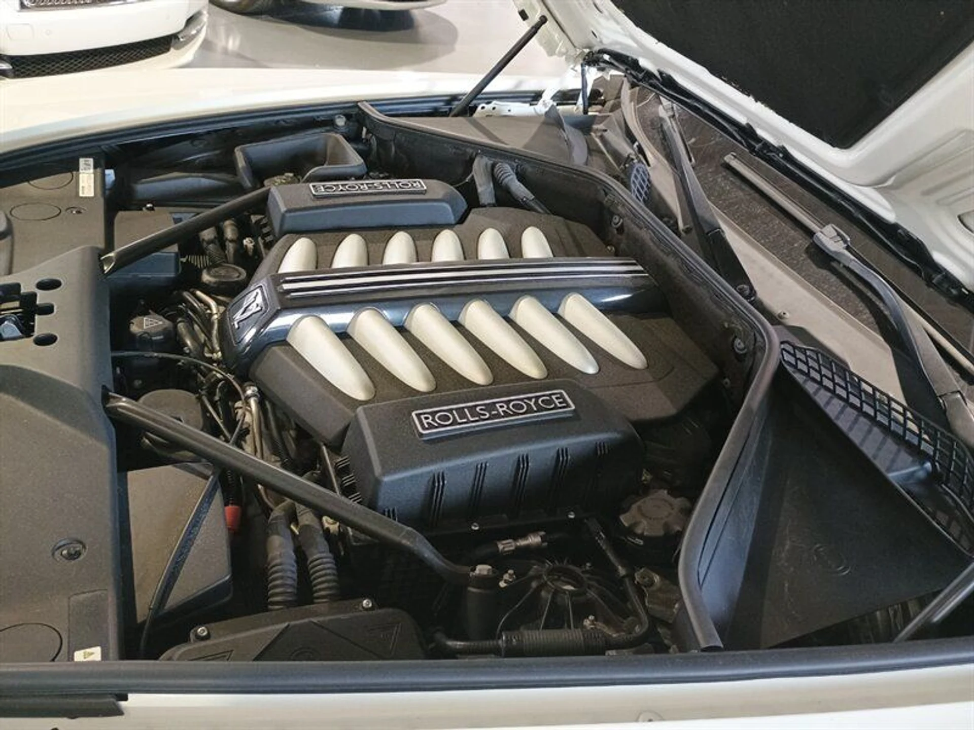 mph043_458071673_35fc41accd_800_c934b9ede0