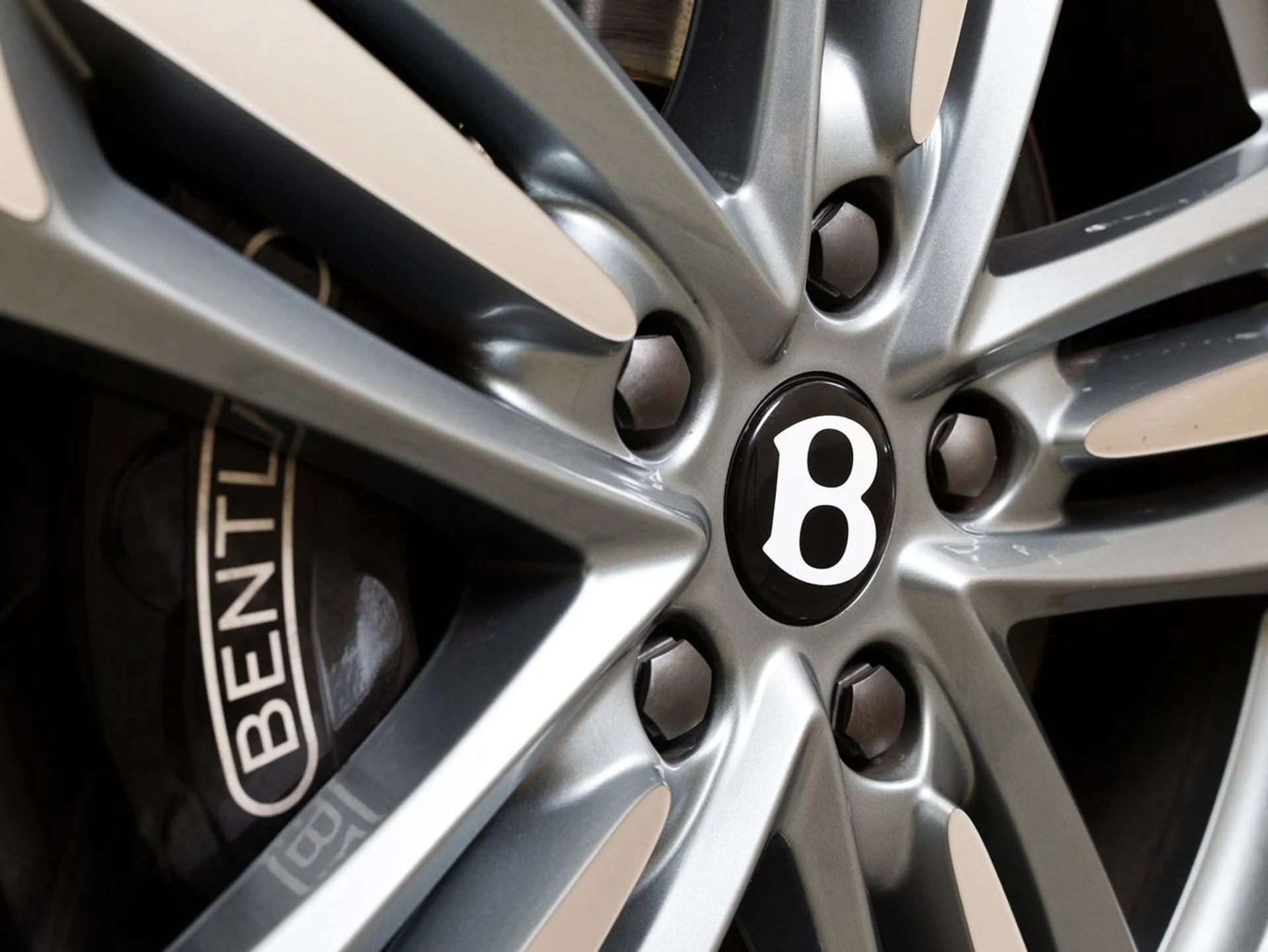 mph043_484571945_tzeszzyj4iodmcgtr1rjlj2en9jm_c3498a7447