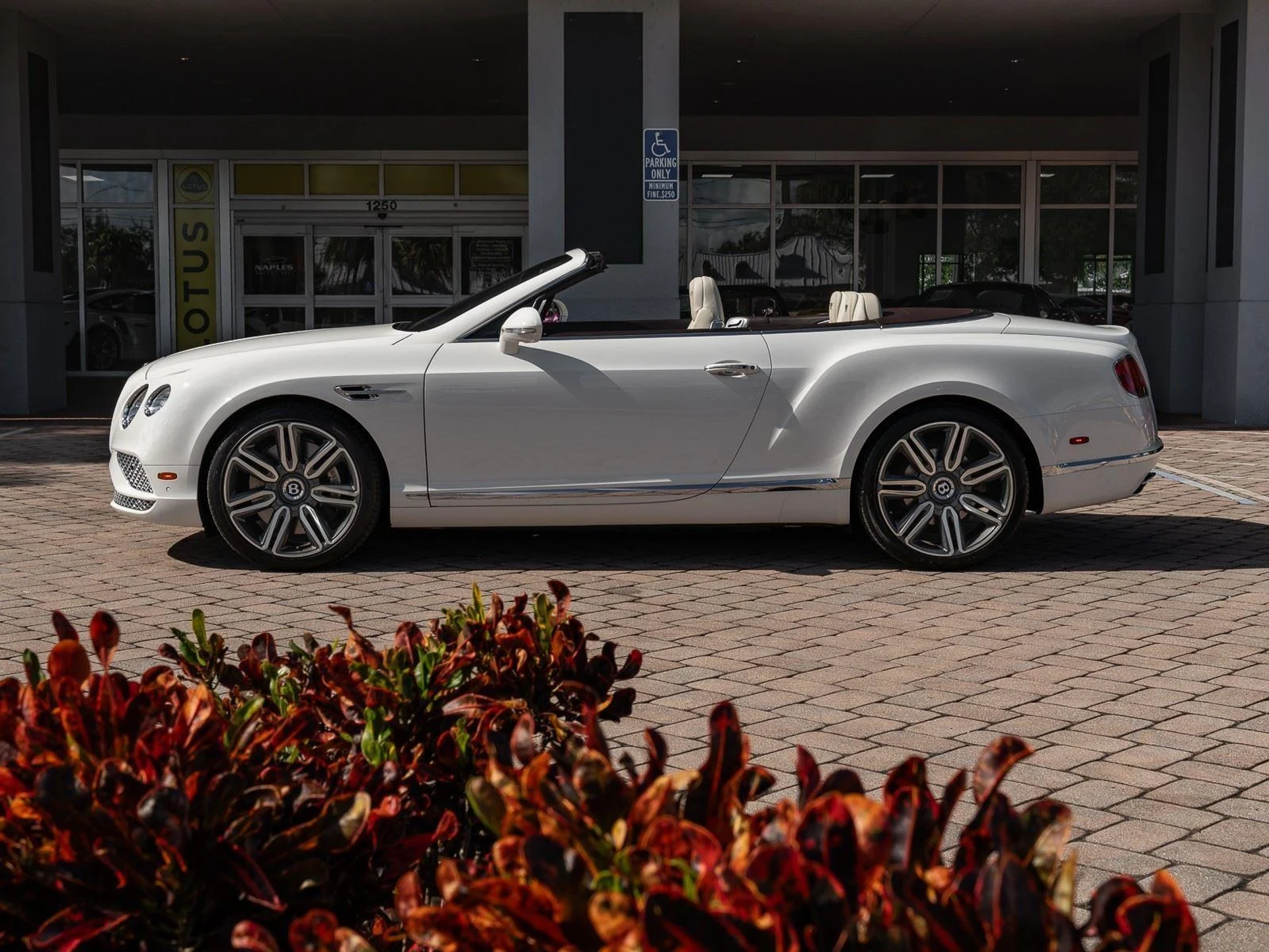 mph043_678344977_Used_2018_Bentley_Continental_GT_1767952850_1801611e5c