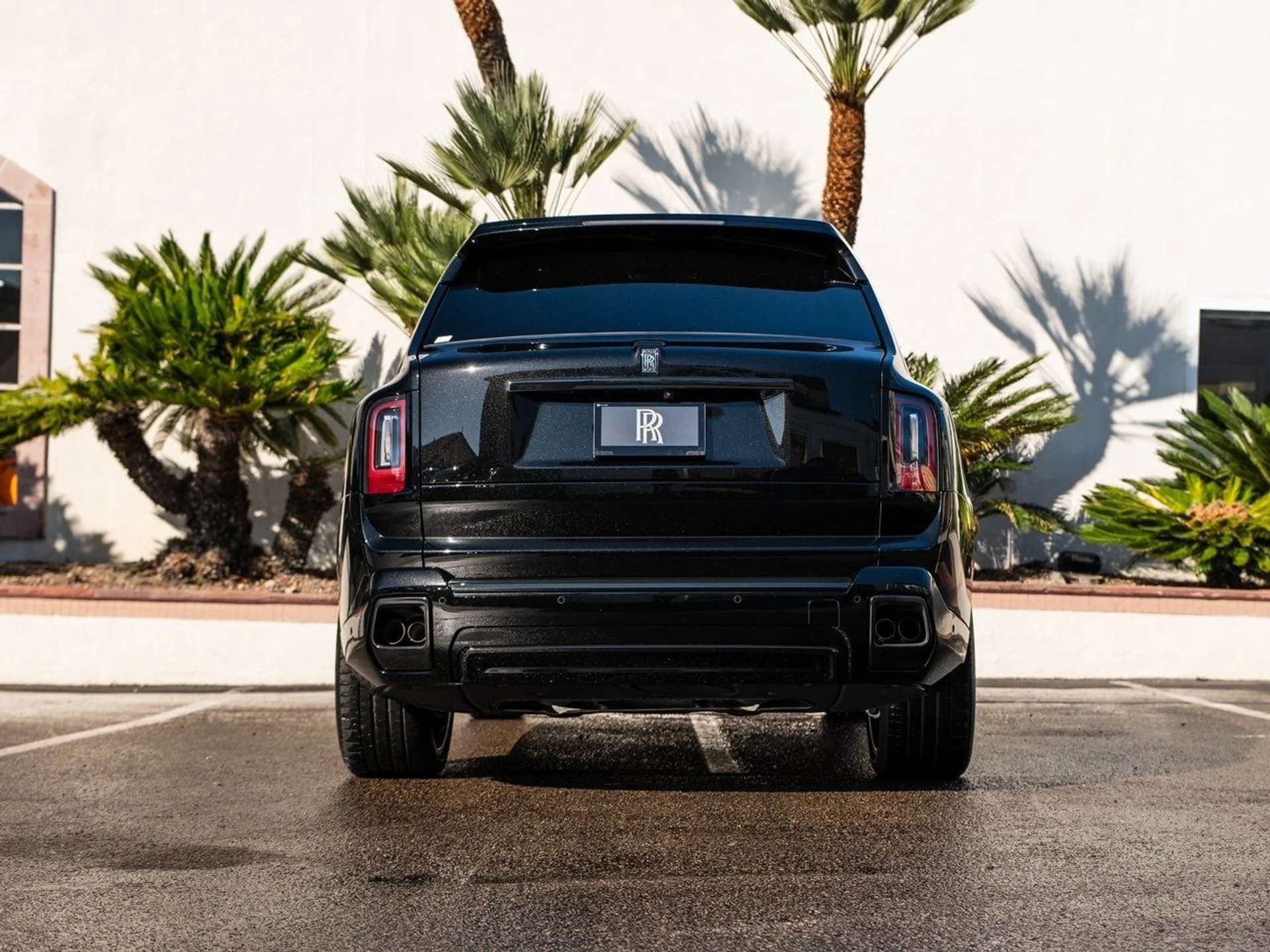 mph043_775297190_830eb3b050e25398f742eed17bb62e12x_3453d16e02