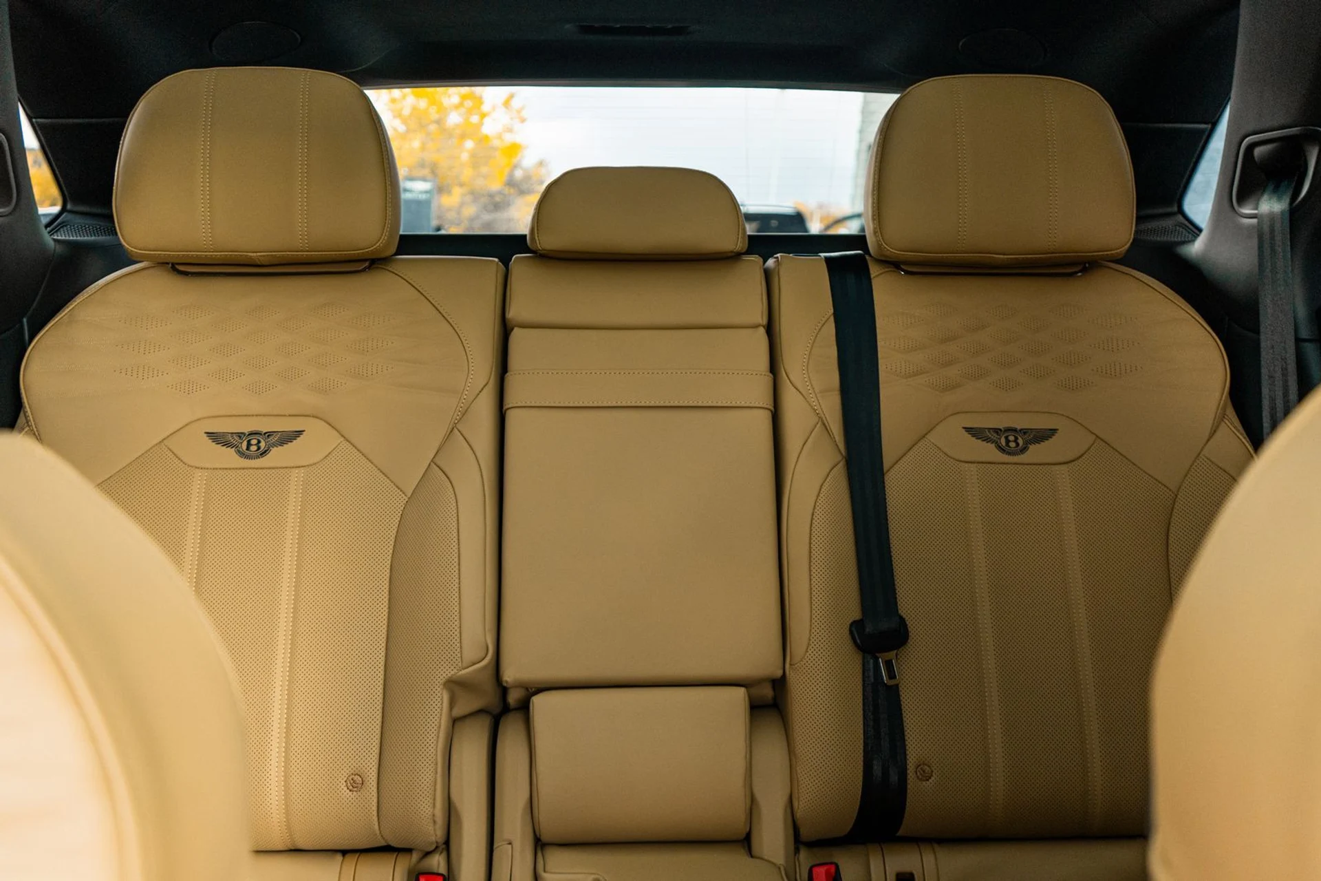 mph043_792848452_af18864e_534c_4843_a4cd_97ee1a8b4ffc_3d7b7a1c0e