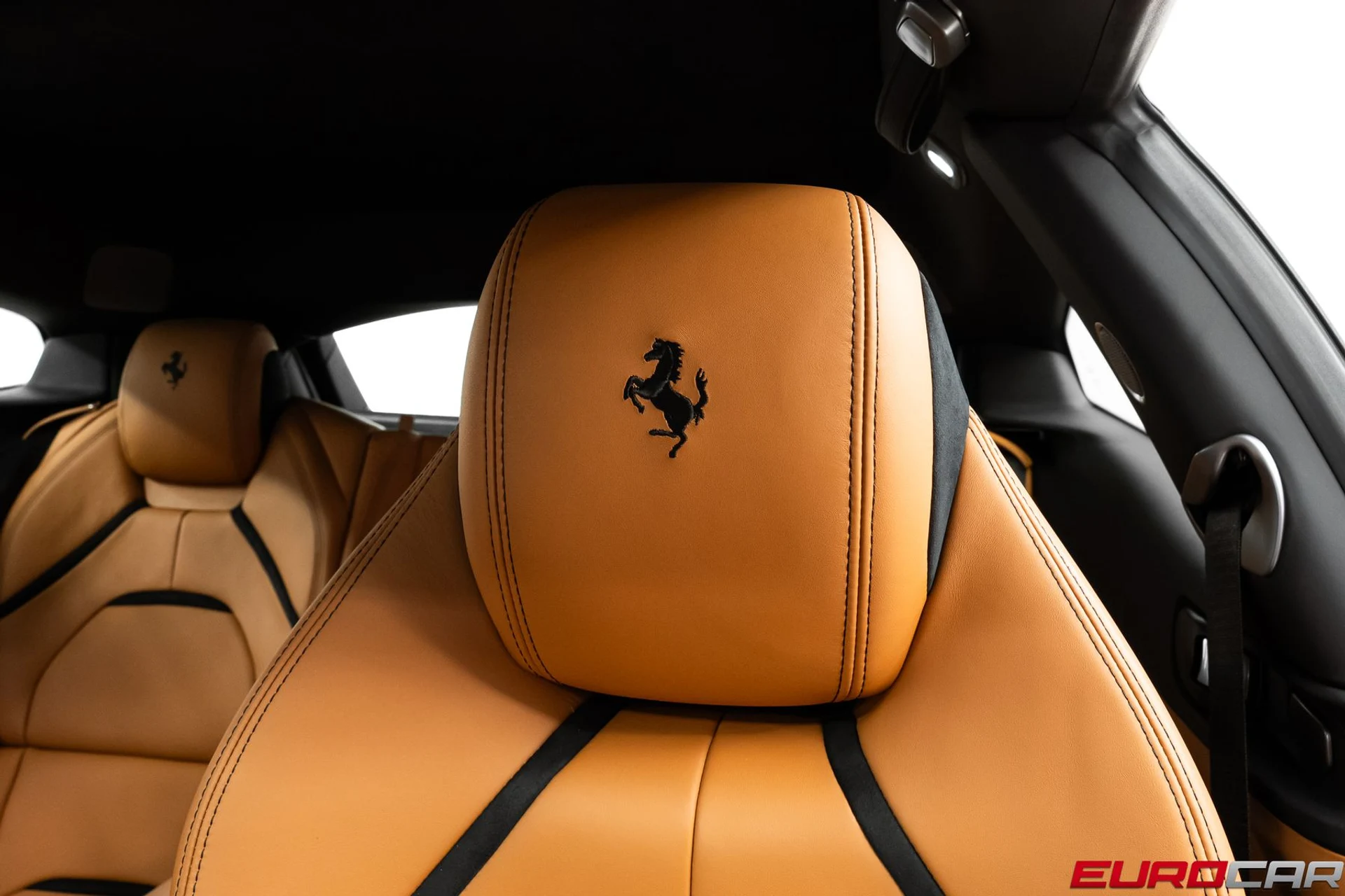 mph043_899036994_58609571_bc81_4e33_a13d_6ed7df744ff6_1433d3ac72