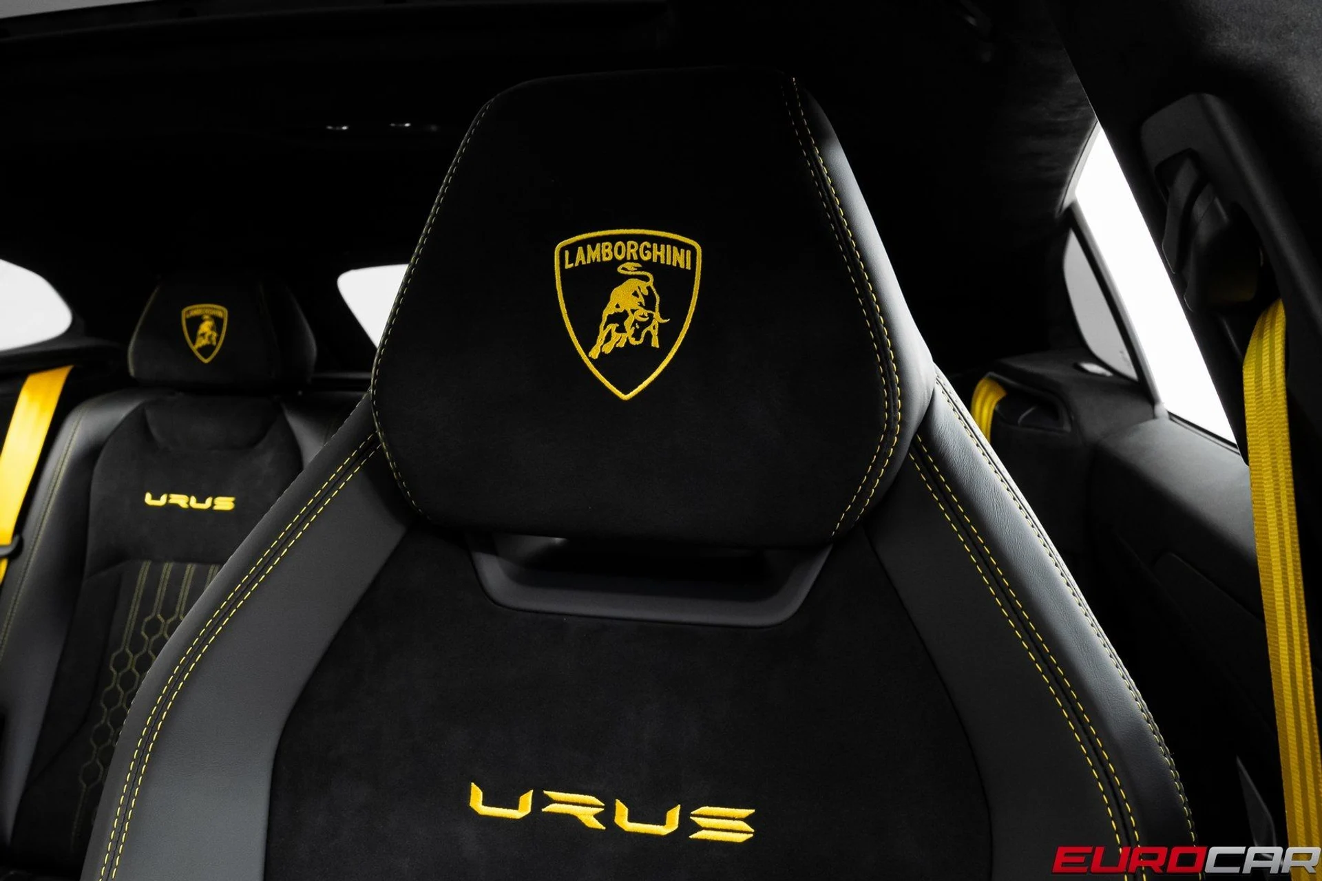 mph043_91060158_image_44_76ba18913a