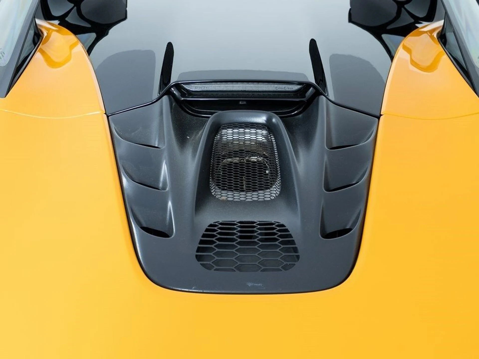 mph044_1009988450_62edf4ab59a4bee1e864cbbb559b17c5x_092d6505ed