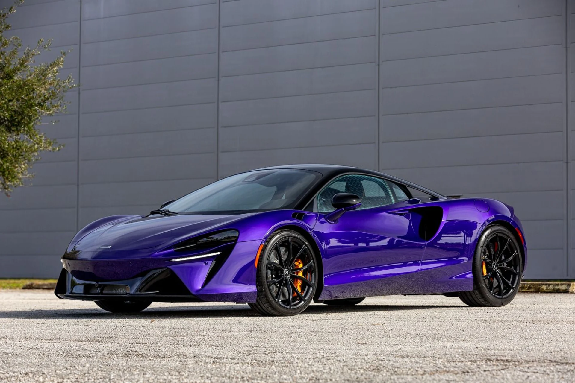 mph044_1115037379_362_p45_l_d8f13693fa