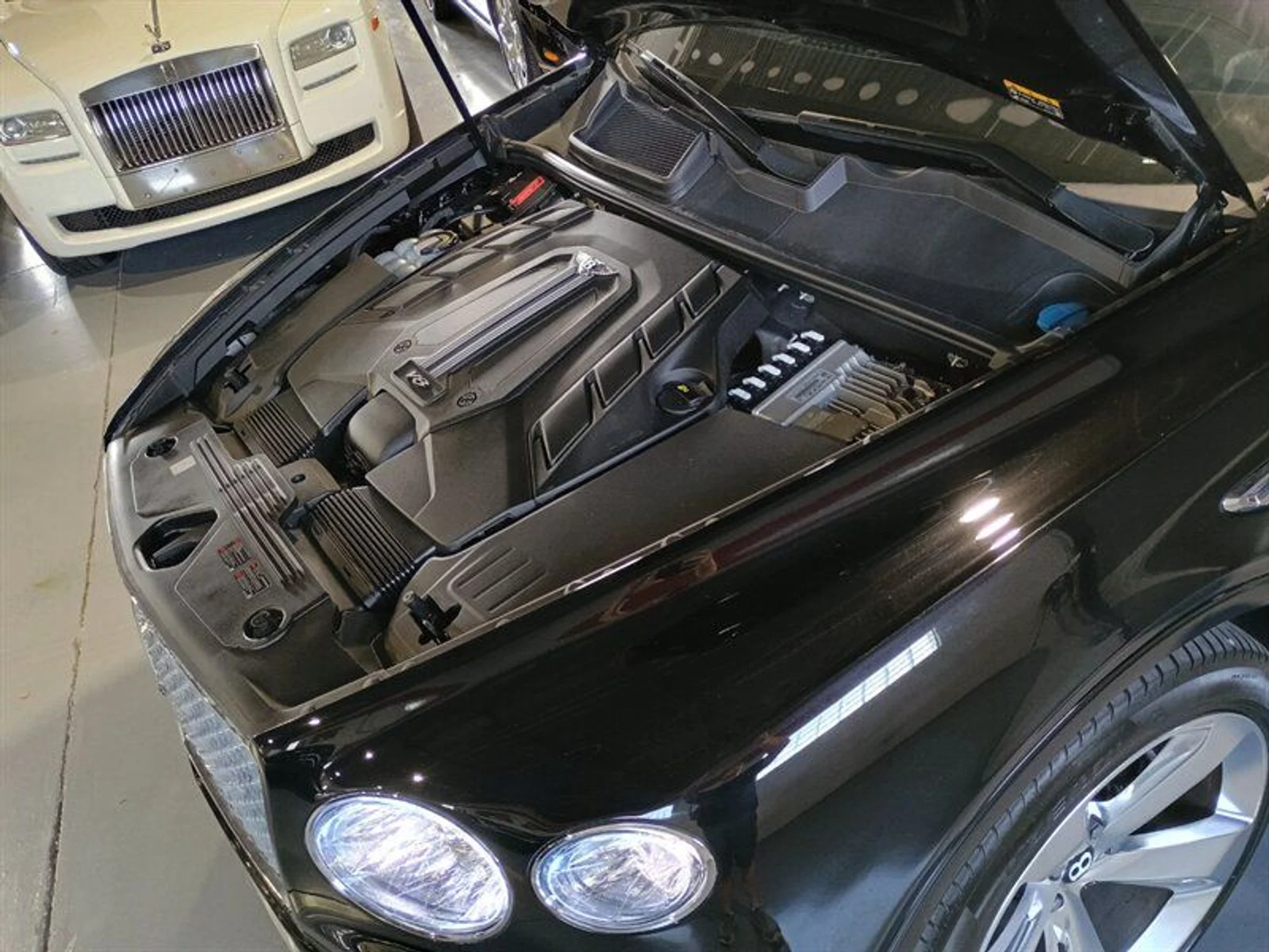 mph044_1238571147_3467c45827_800_d6236c5d29