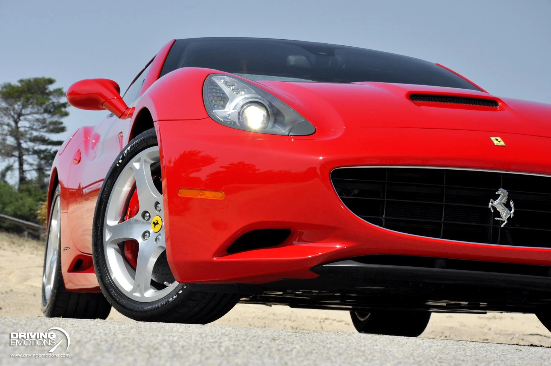 mph044_1292619514_505_p45_l_b4e2898f74