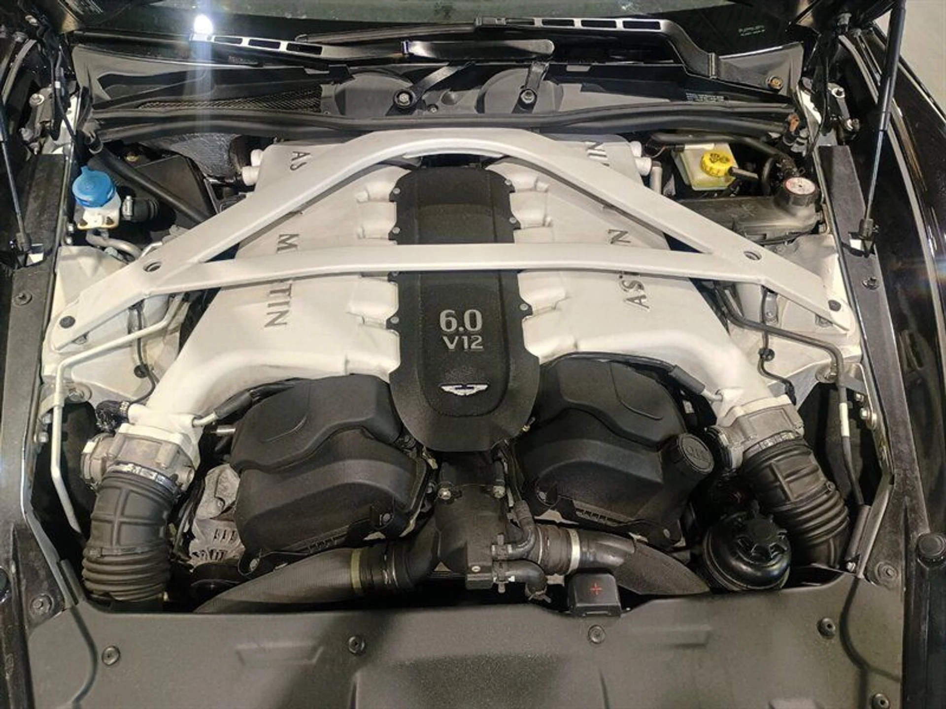 mph044_1502477496_f21033bd05_800_46e8326b63