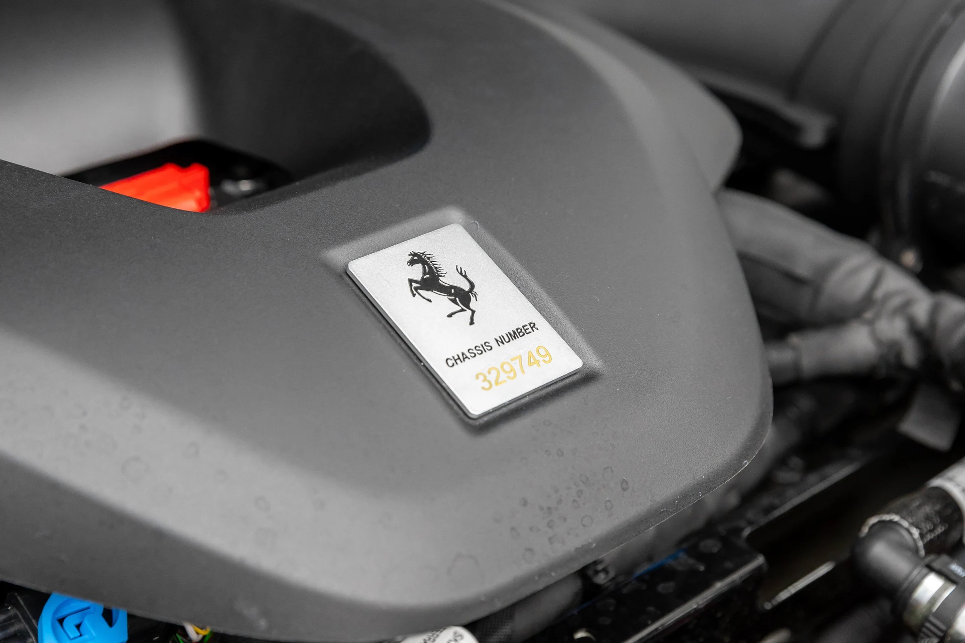 mph044_157939982_bd4b62de481f4e31ac490d66436ded8f_04c358ecb9