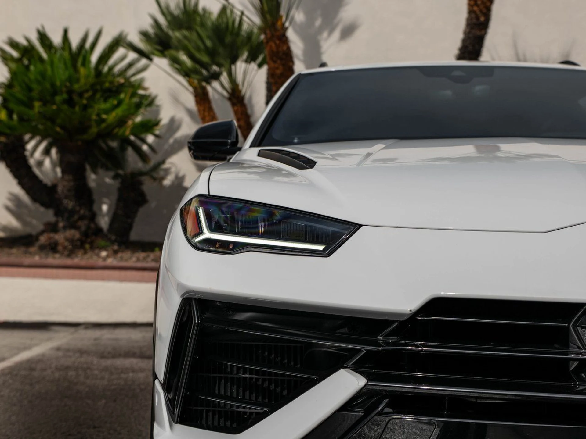 mph044_1622495773_0eaf73a92204539ace9b5cc08921059bx_641755d9e5