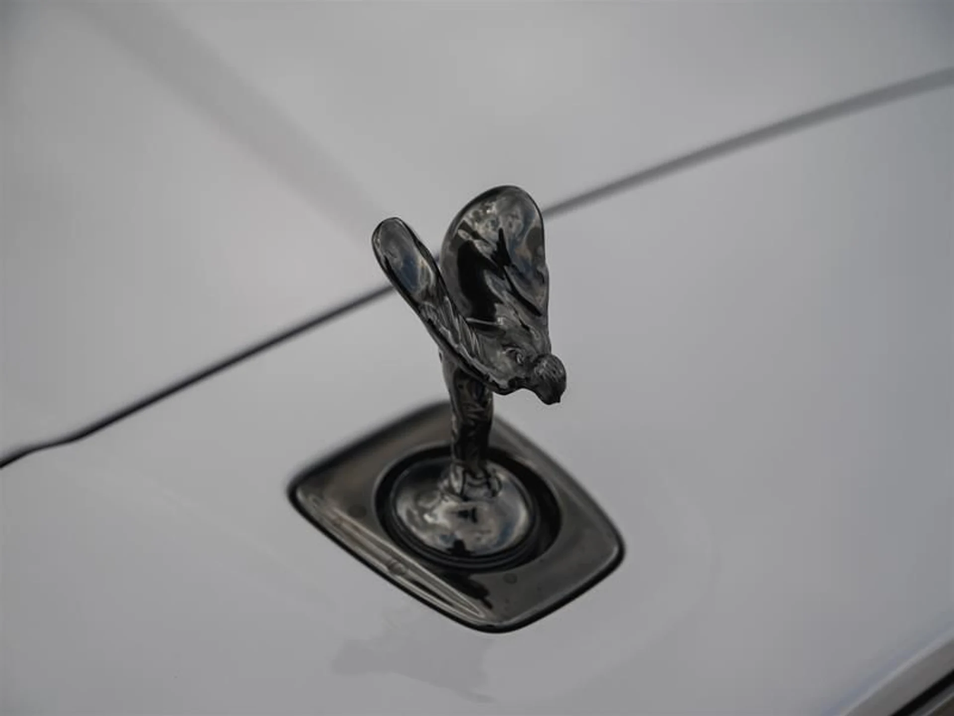 mph044_1637479985_5p50j52i_199af3e3de