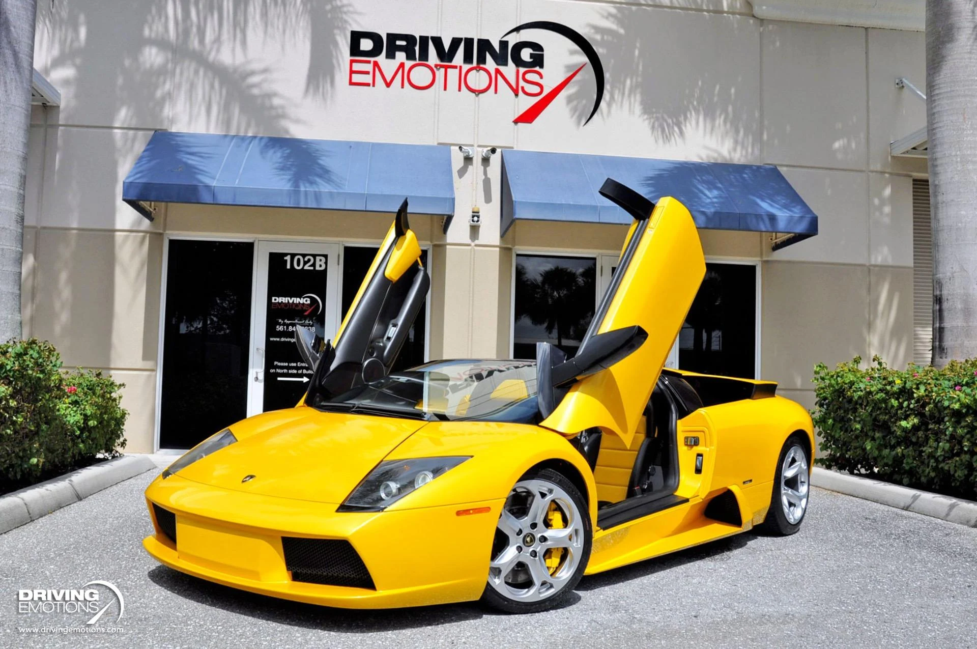 mph044_1733088693_862_p45_l_ec8766c0eb