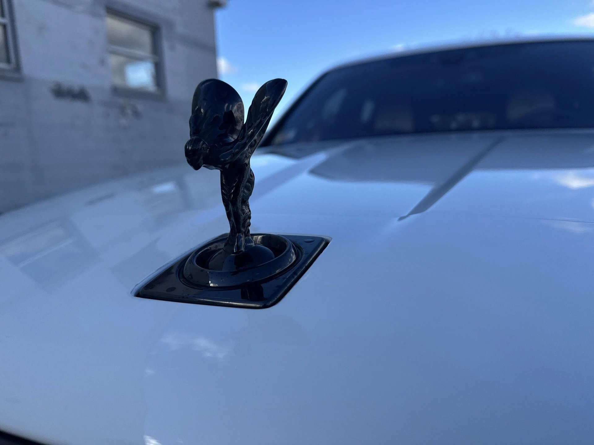 mph044_2345290210_00cb1c30f988481611aa1ac3e8264047x_6edcb8a5ce