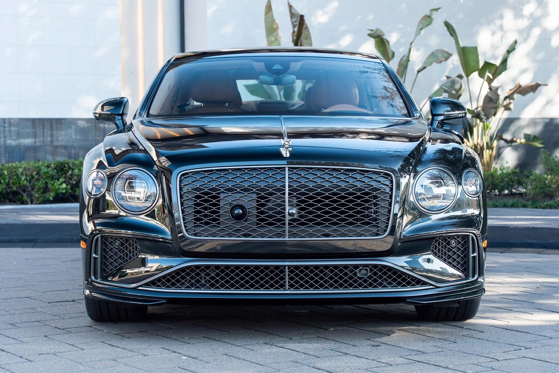 mph044_2595271407_489302490_698435536d31c9793f9d07c7_303a9db14f