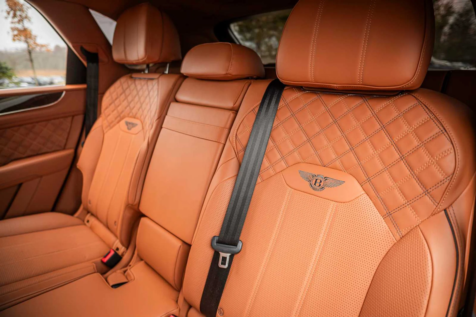 mph044_2637186078_f656576f7cb25f19ea55528cbad4889bx_88fca7ea9c