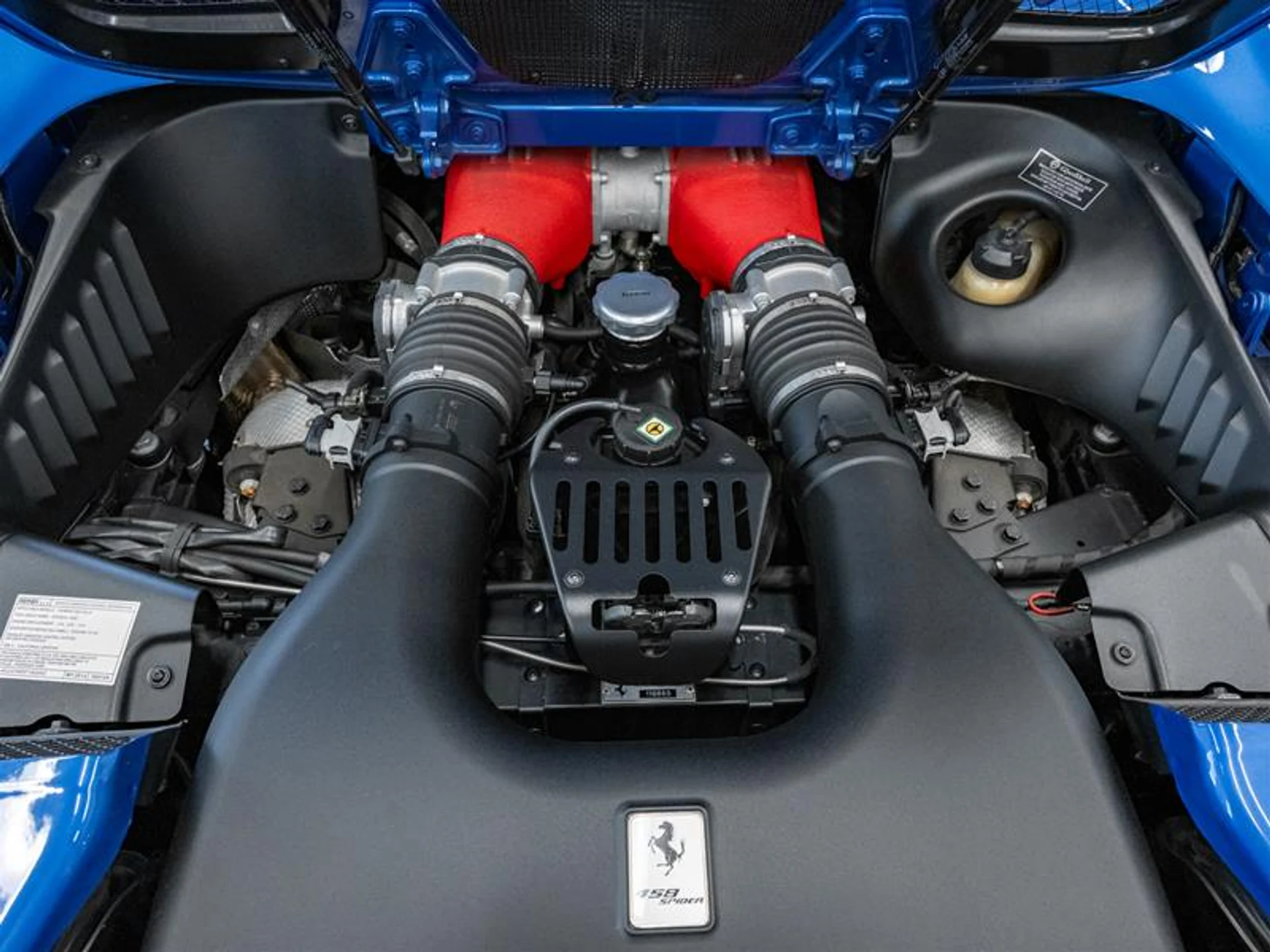 mph044_2667842463_11907772_1640334142_7efebc2452