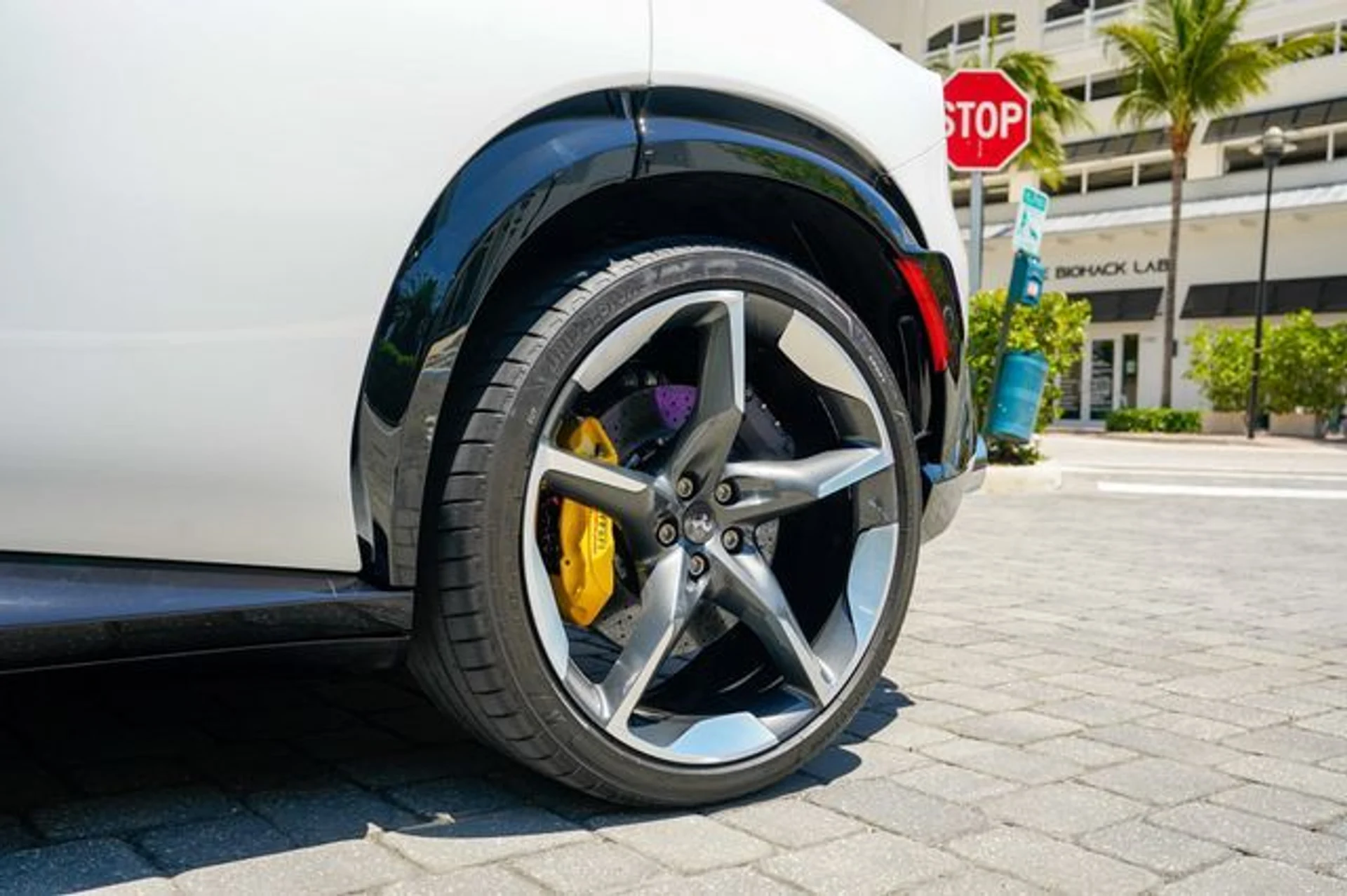 mph044_2771248633_23015679_45_1e1a7ea5ef