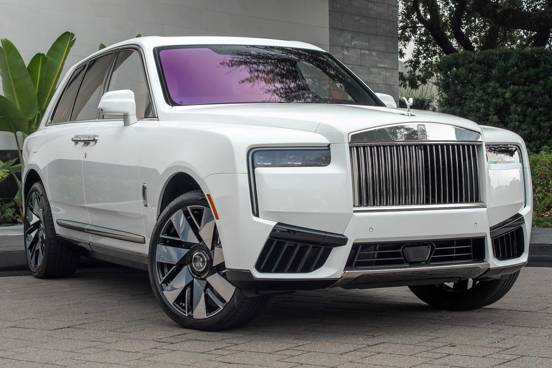 mph044_306280315_477983144_695f551a4b0ded1c3975a635_d16d0a3d51