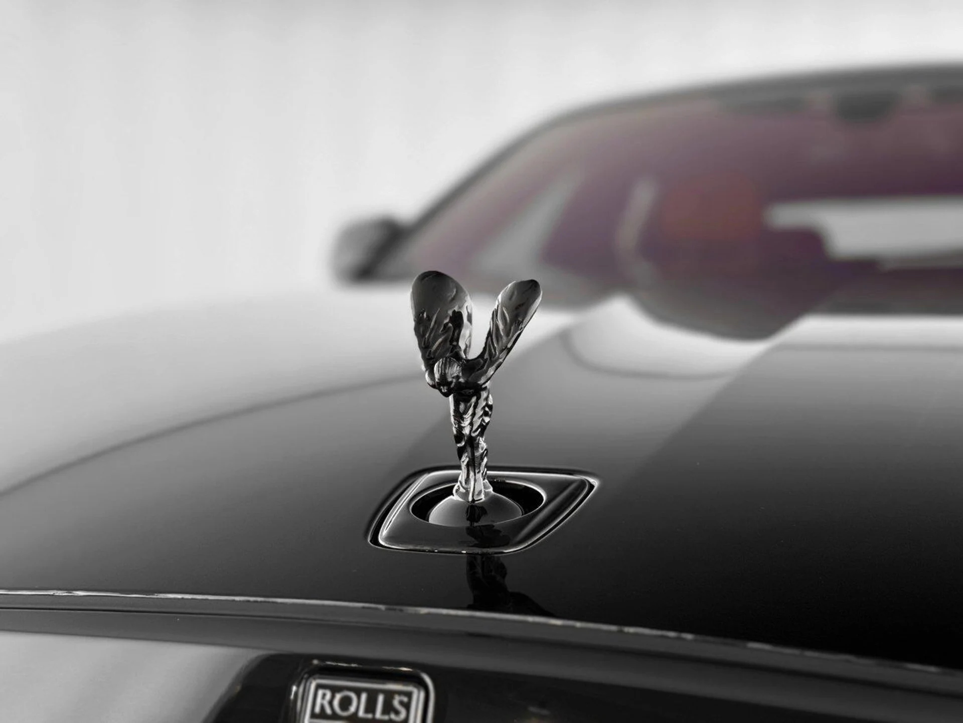 mph044_3108296627_94a4062062dd5bf3c8b11a1c9d41309d_f51800b3f0