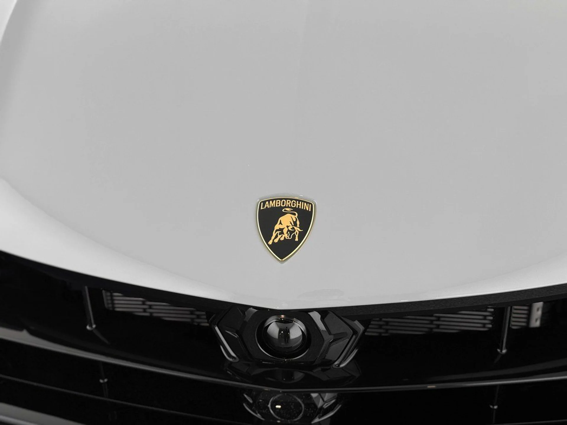 mph044_3472058685_69dc2b45b32df55ce45ecd187ee1f55ax_a34131491c