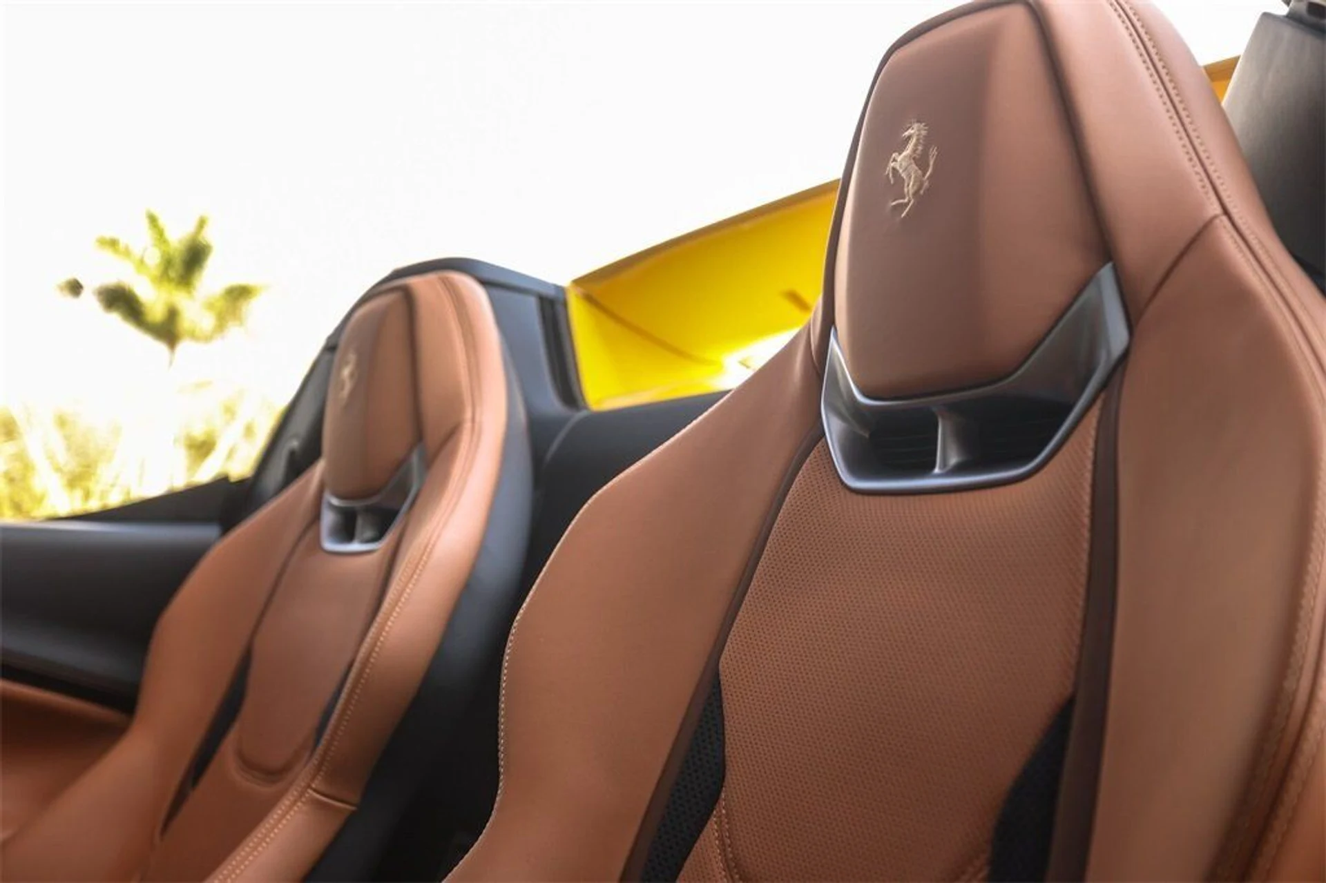 mph044_352654664_94e99ee6b5c4a4a3a900badfce96ce2b_d025579f5e