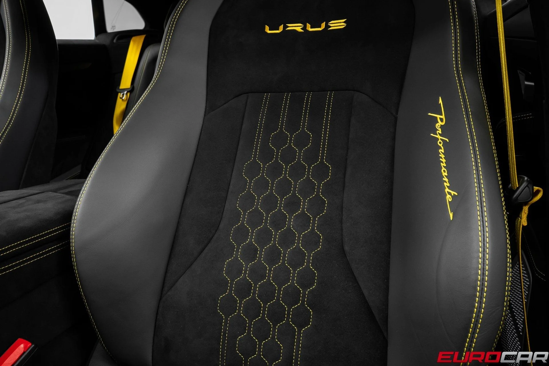 mph044_3689322428_image_45_74579fad35