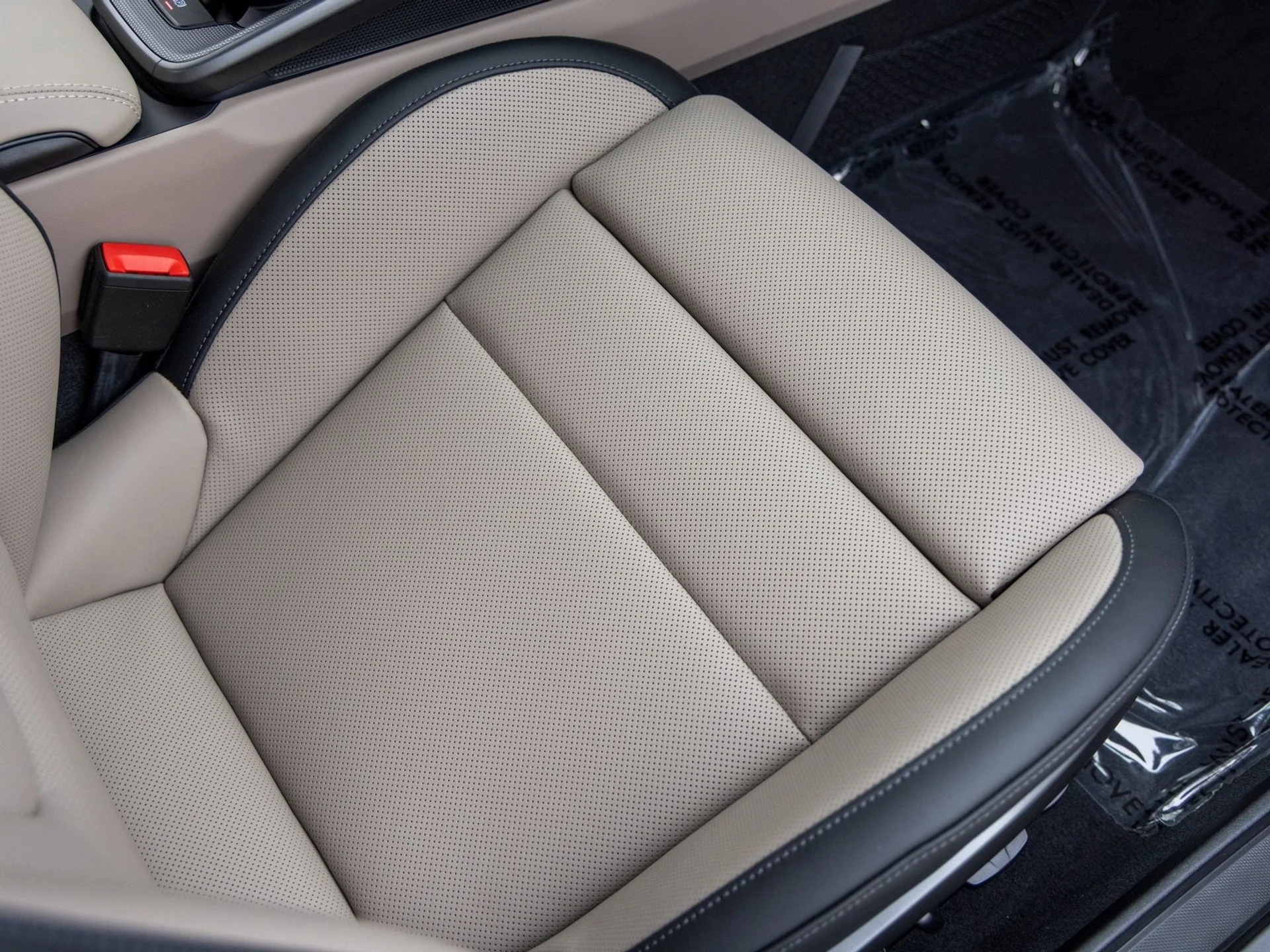 mph044_3891101381_45_b227427673