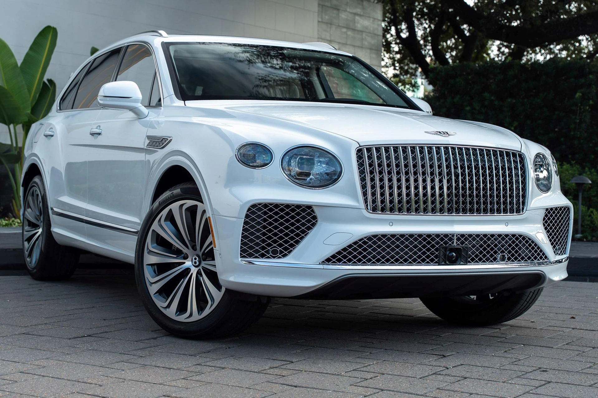 mph044_4089735474_462758411_6954bf9d4e73cd9f103f4eec_d39e3383b3