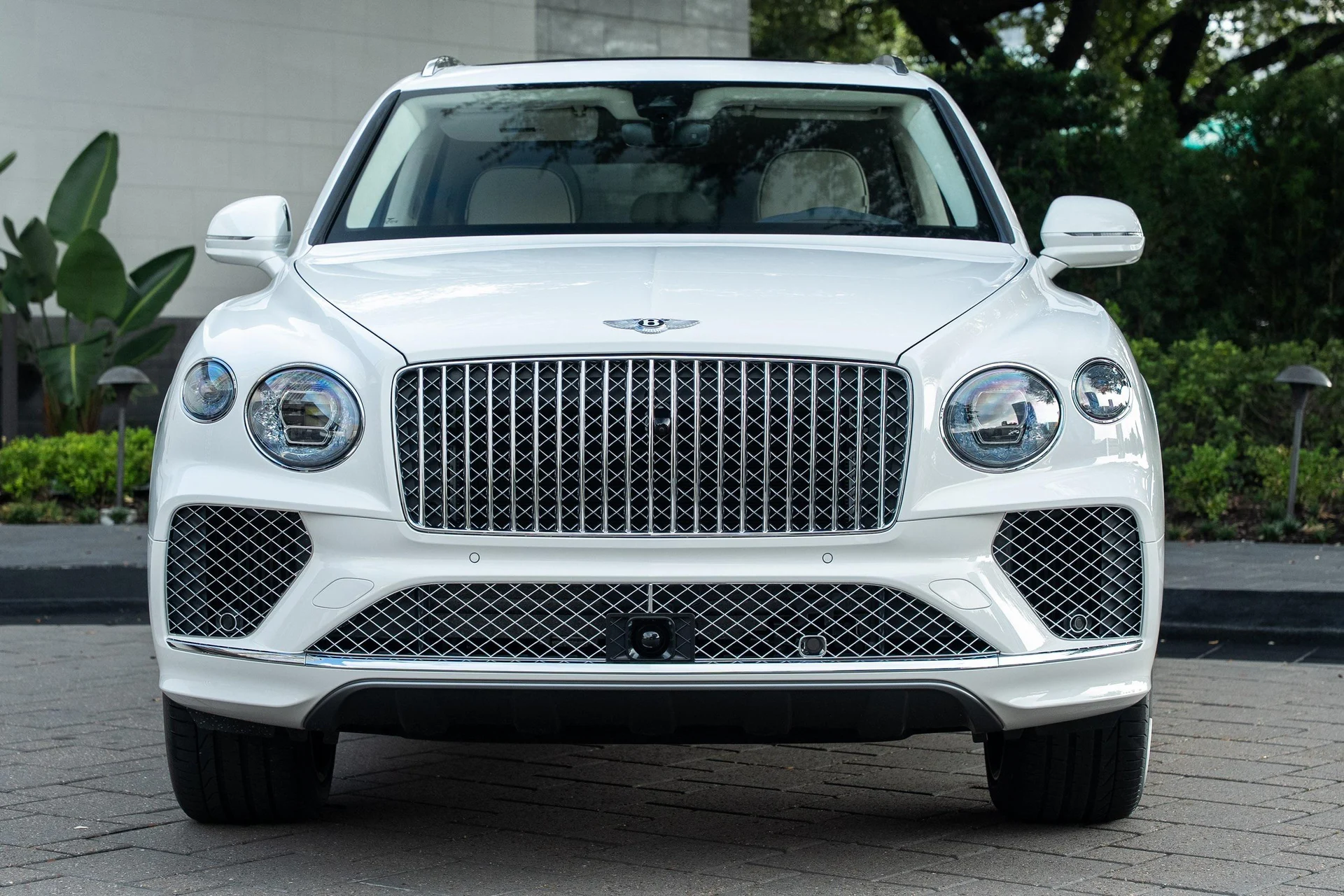 mph044_4173167324_442093803_689aca51b01227cfeeaaeeb8_8f0fcc50c1