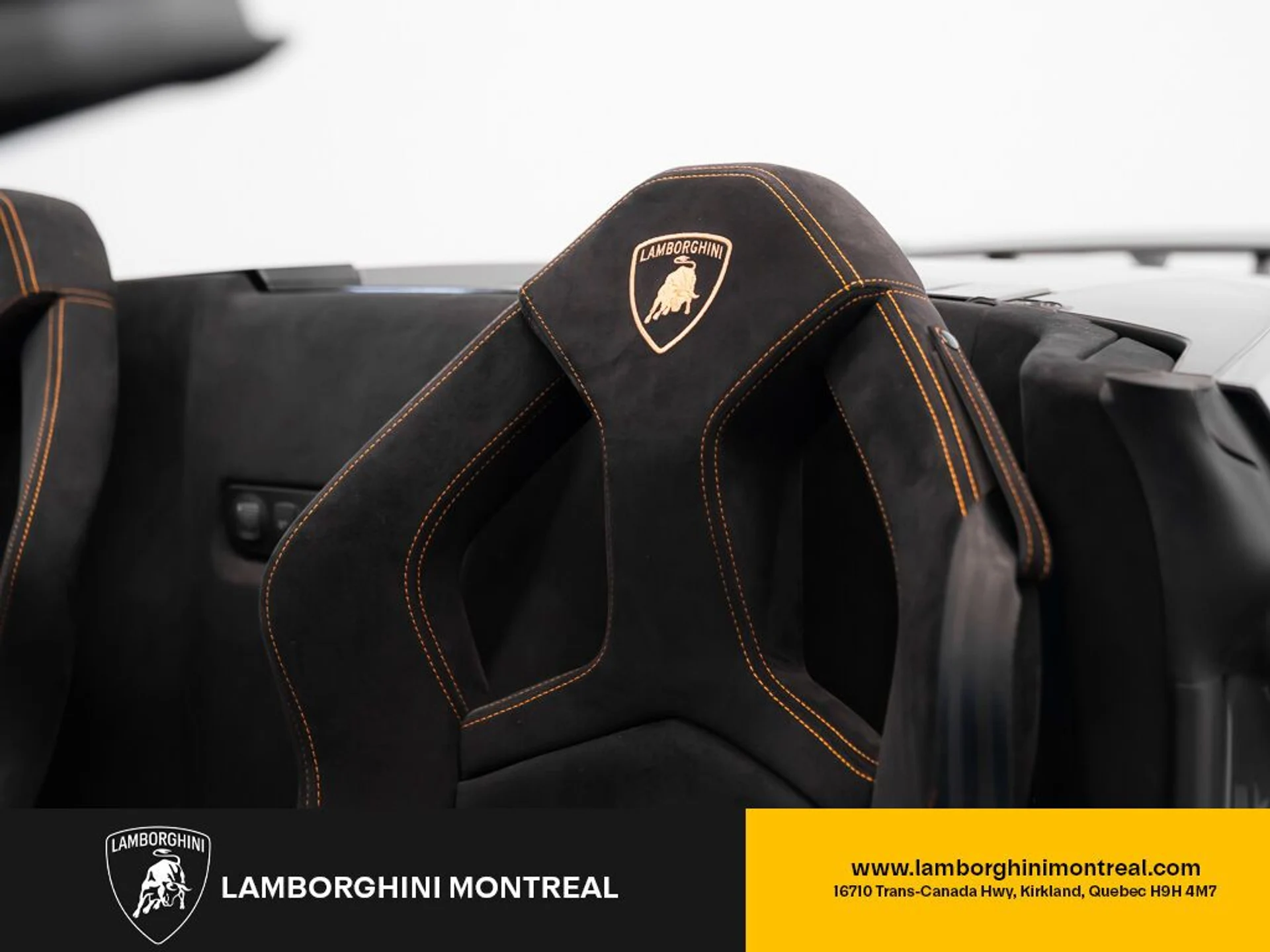 mph044_4282239634_lamborghini_gallardo_2013_jpg_v_1758918548_8e76ef53d7