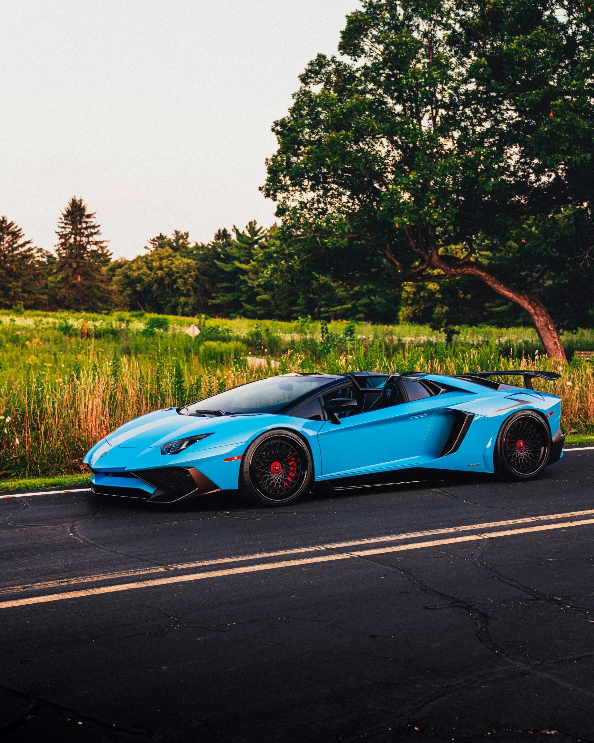 mph044_496731638_9696_p45_l_4facfbe923