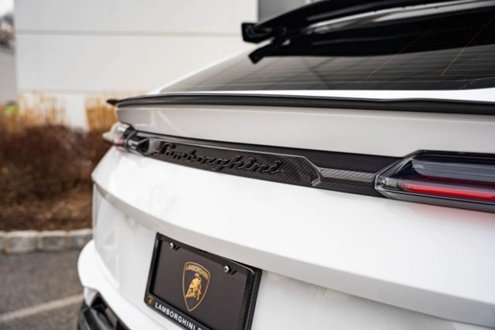 mph044_499259807_d3b5809eb1db3794a98e54dc10a0b074_98368db1b1