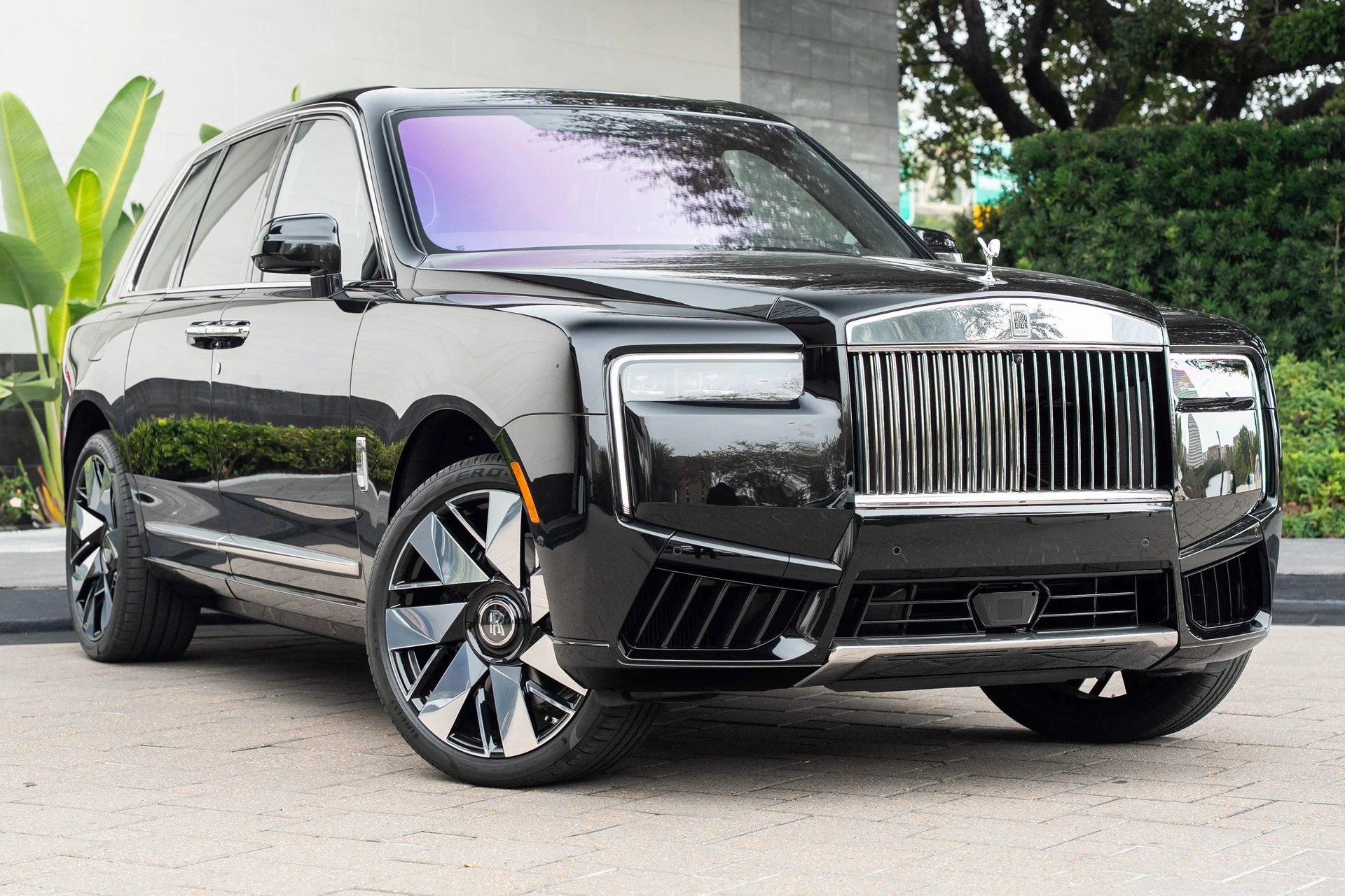 mph044_953947150_476162067_695cc52d8f3ee920bf51885d_8b1e3af8a1