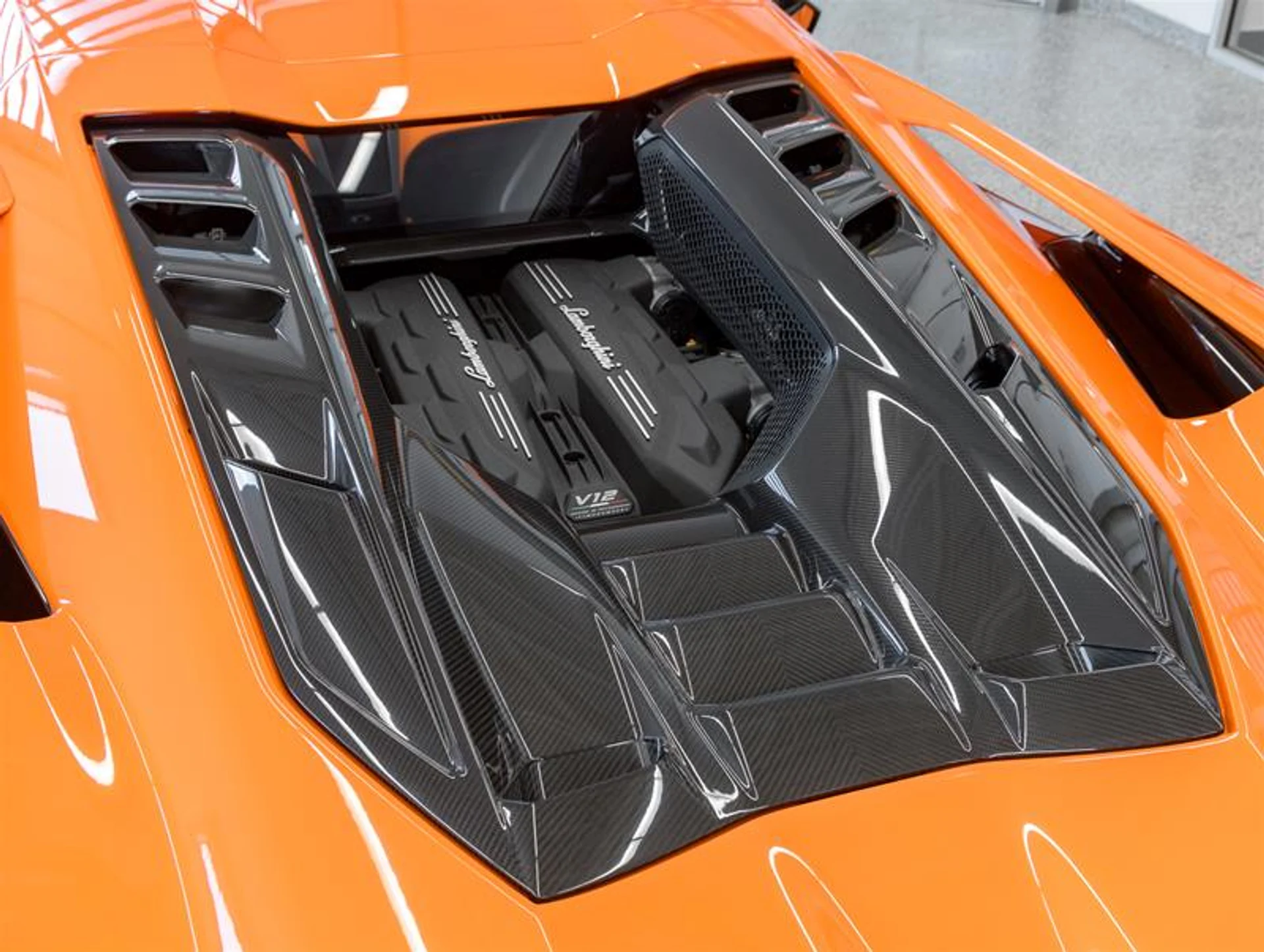 mph045_1021724626_11837620_1624992936_0f853ab7a6