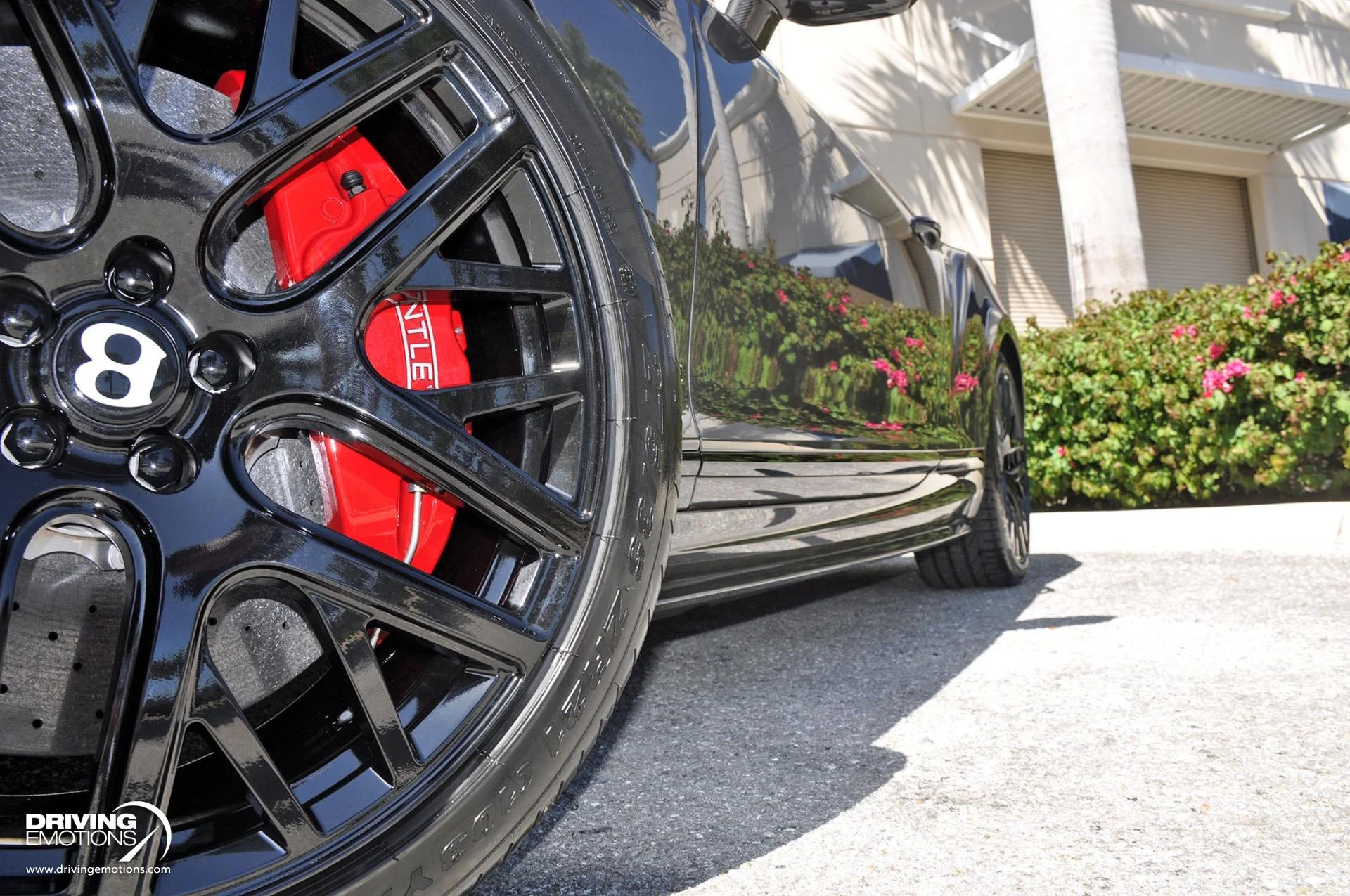 mph045_1172302039_891_p46_l_ce975d0af5